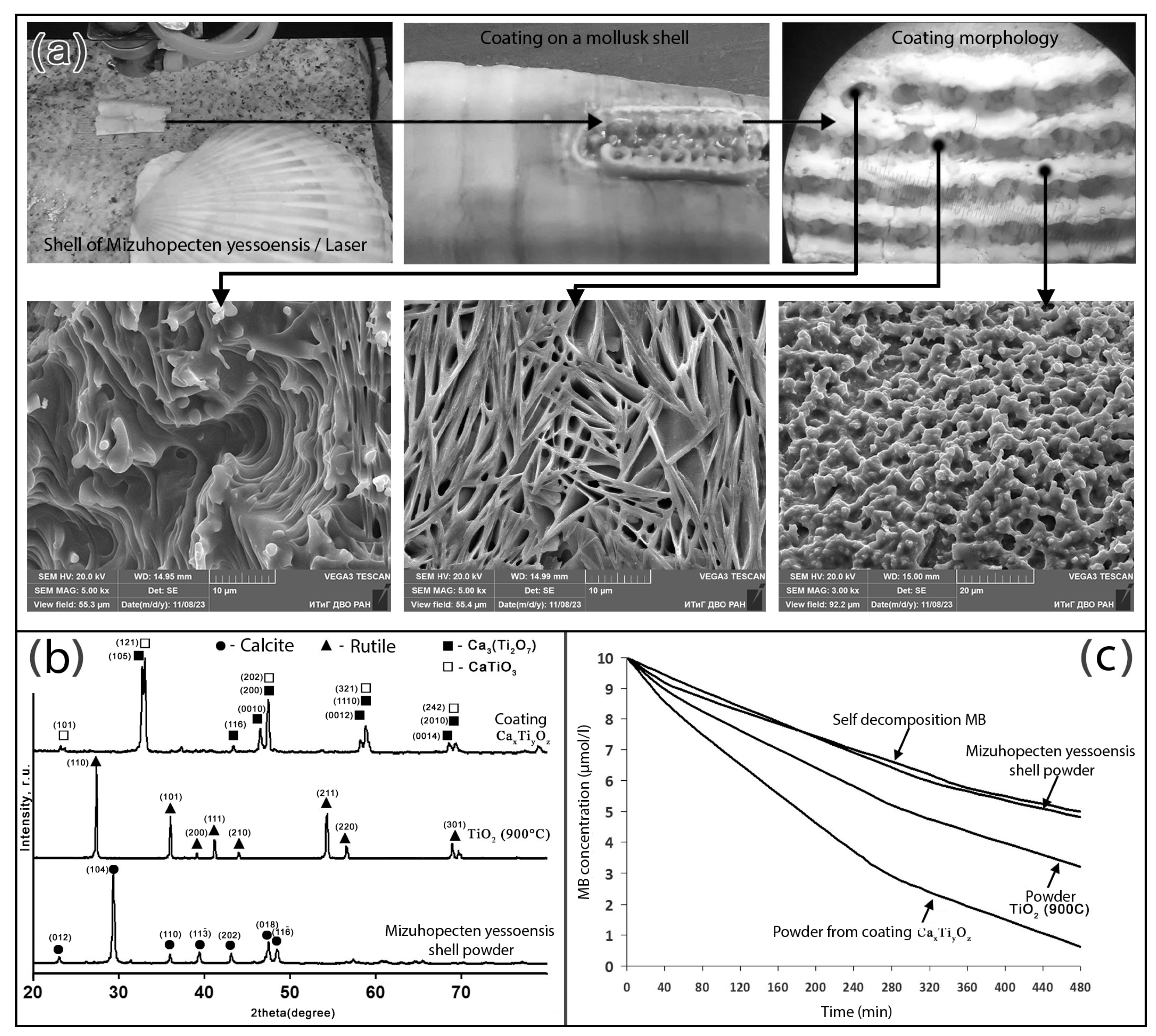 Catalysts 14 00016 g009 Catalysts 14 00016 g009