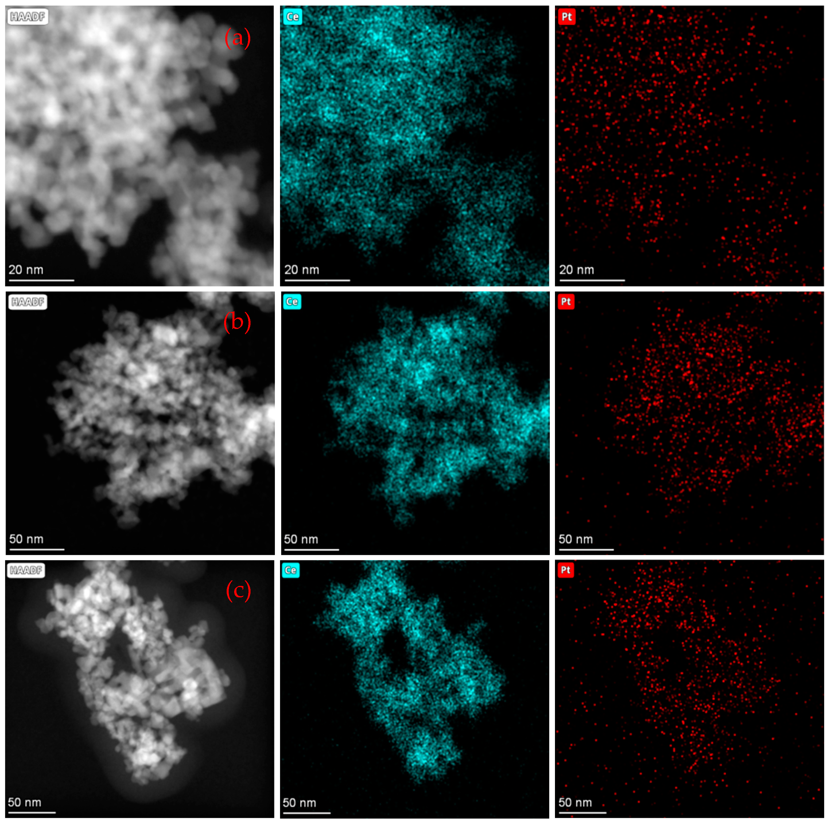 Catalysts 14 00017 g005