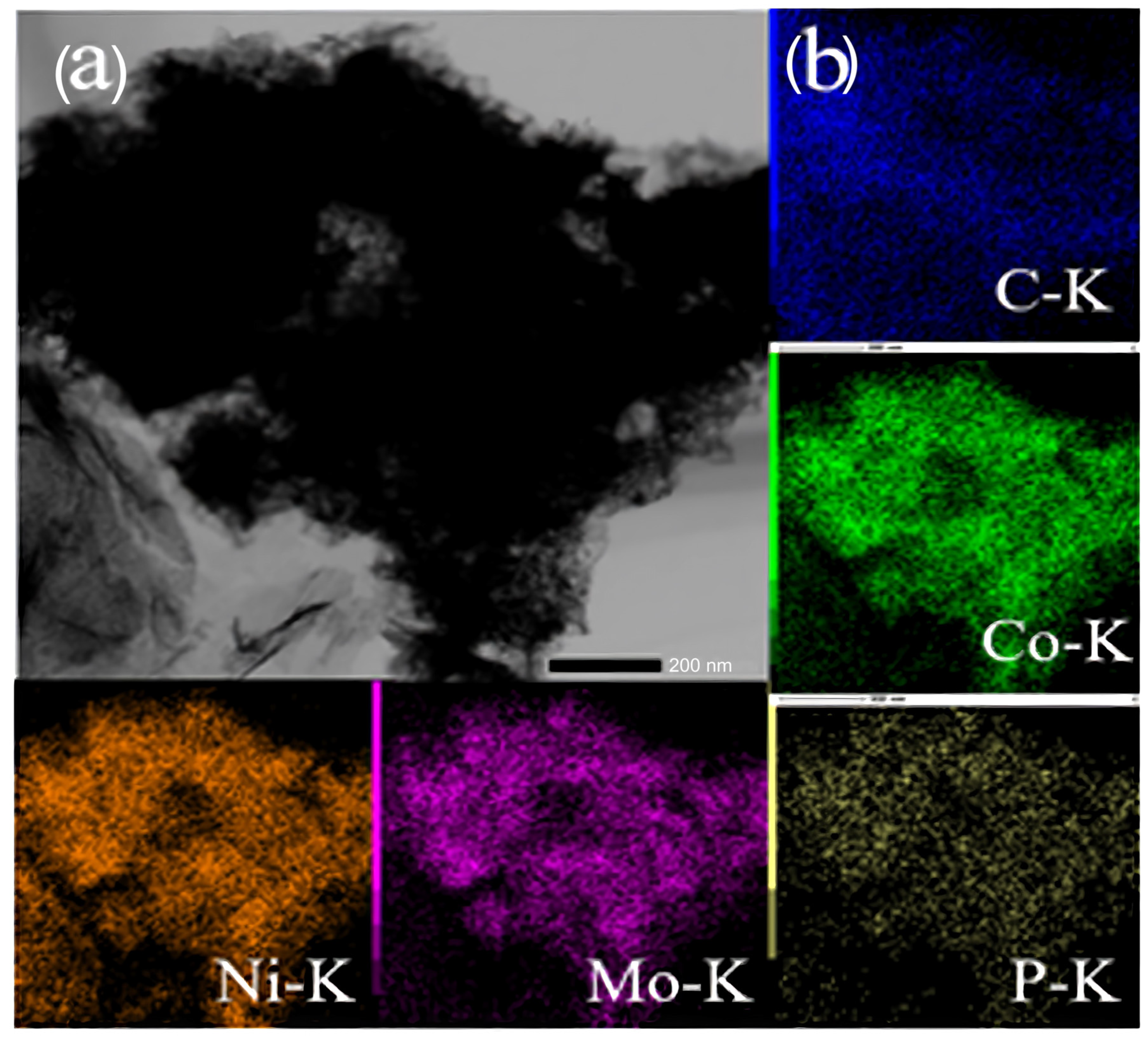 Catalysts 14 00019 g005