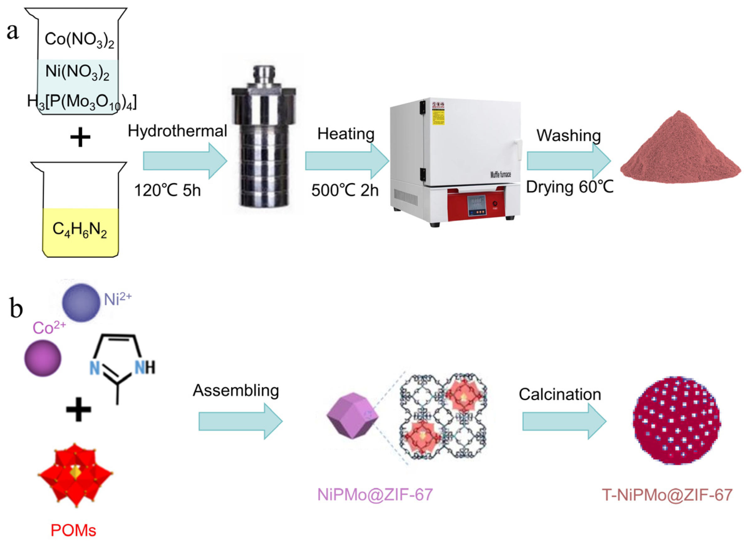 Catalysts 14 00019 g009