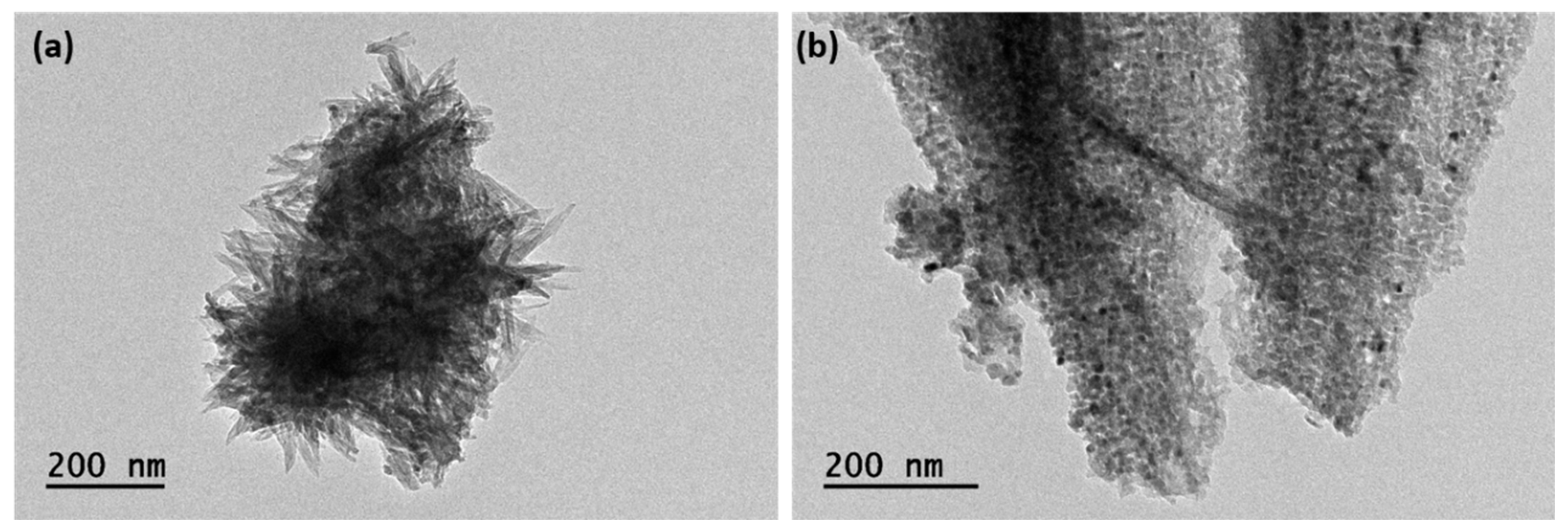 Catalysts 14 00020 g004