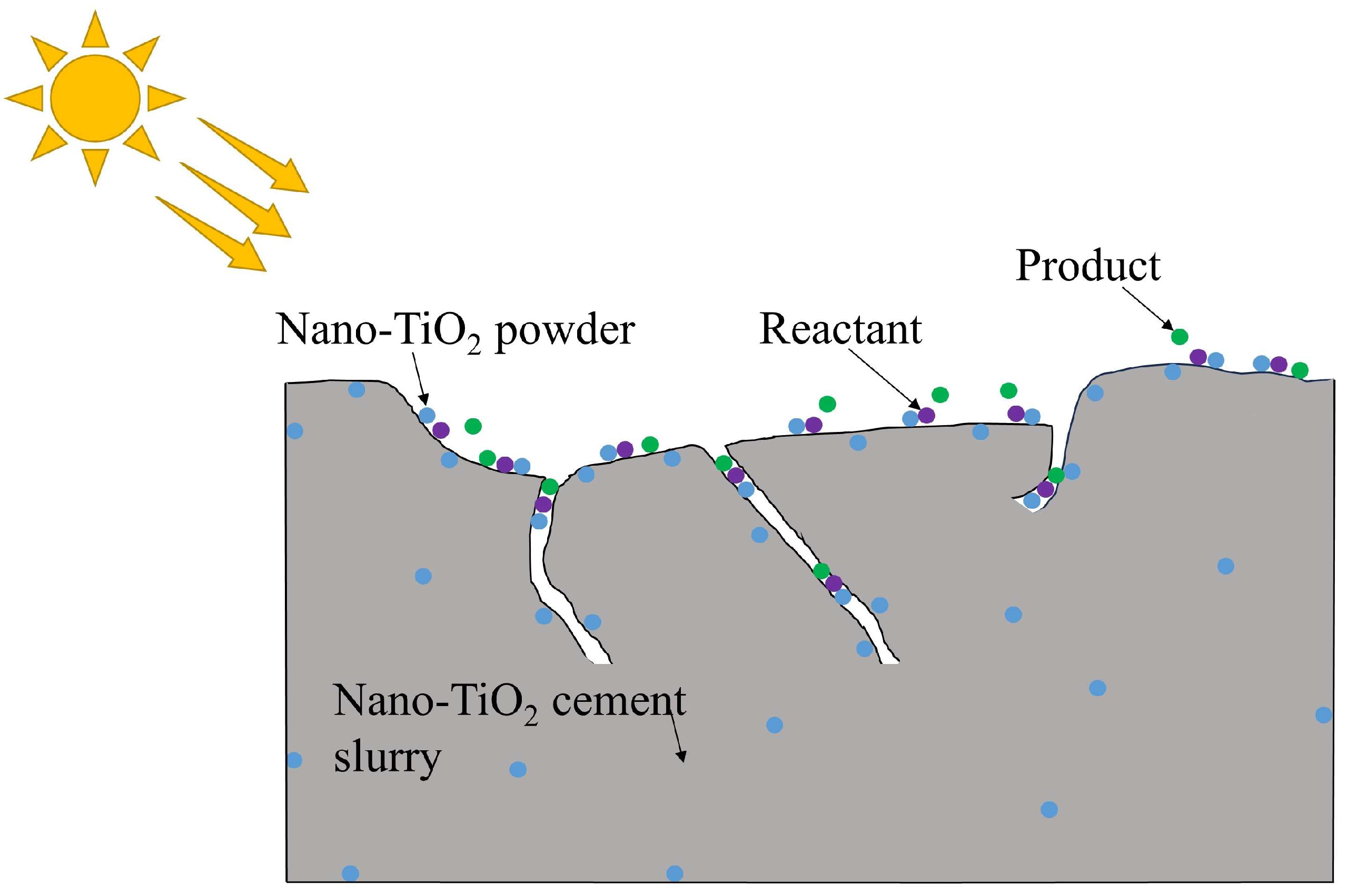 Catalysts 14 00021 g002