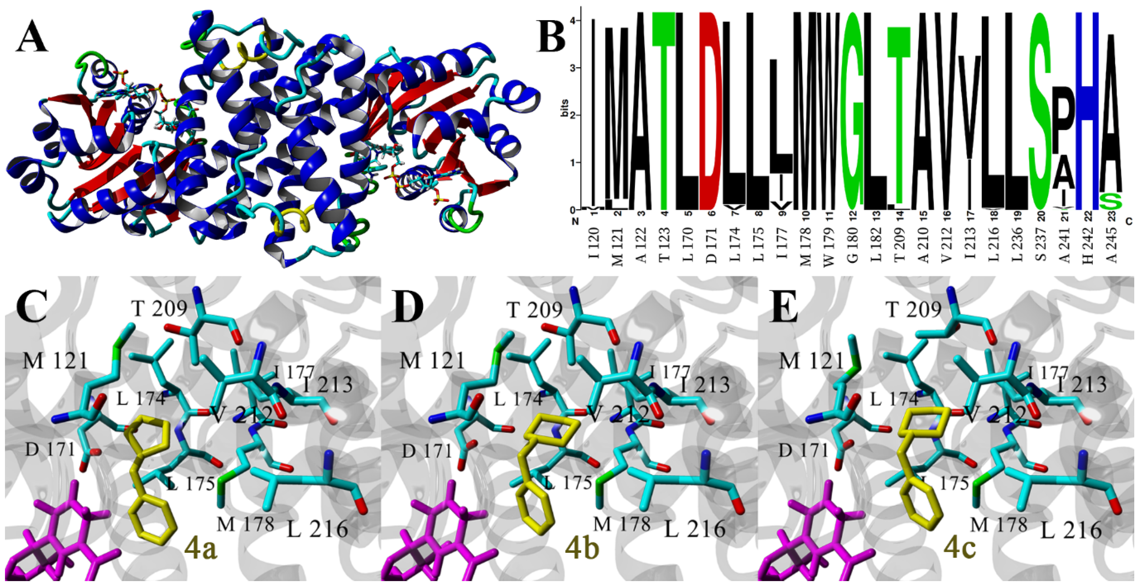 Catalysts 14 00023 g002