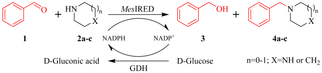 Catalysts 14 00023 i001