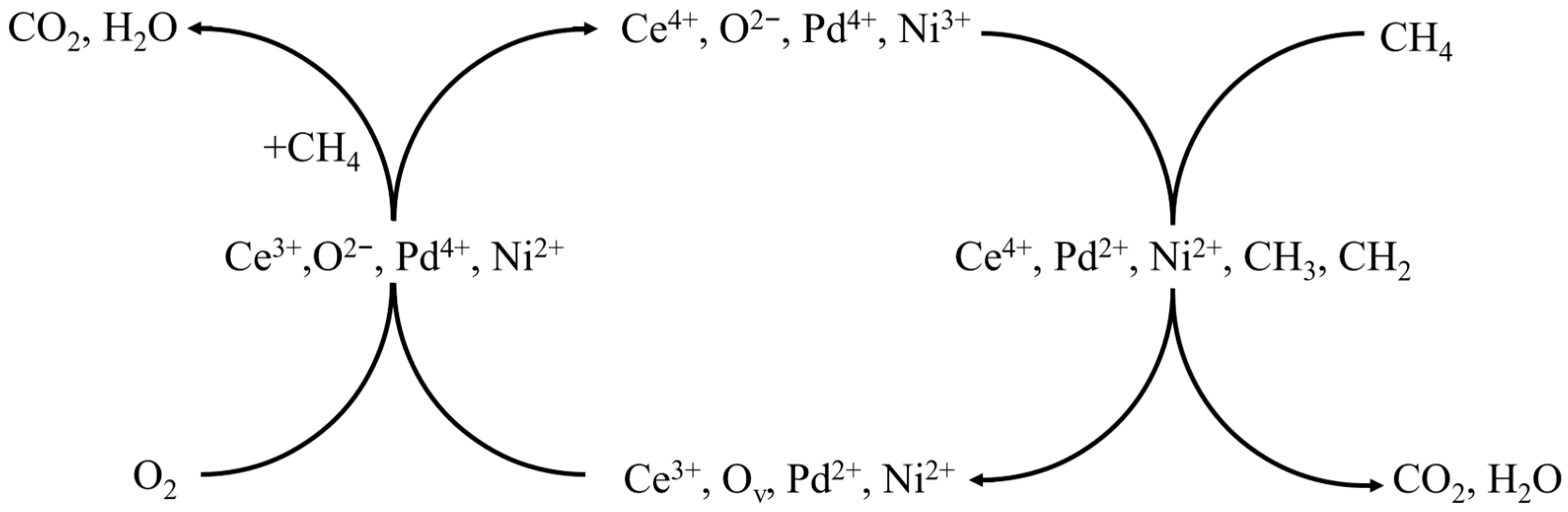 Catalysts 14 00024 g007