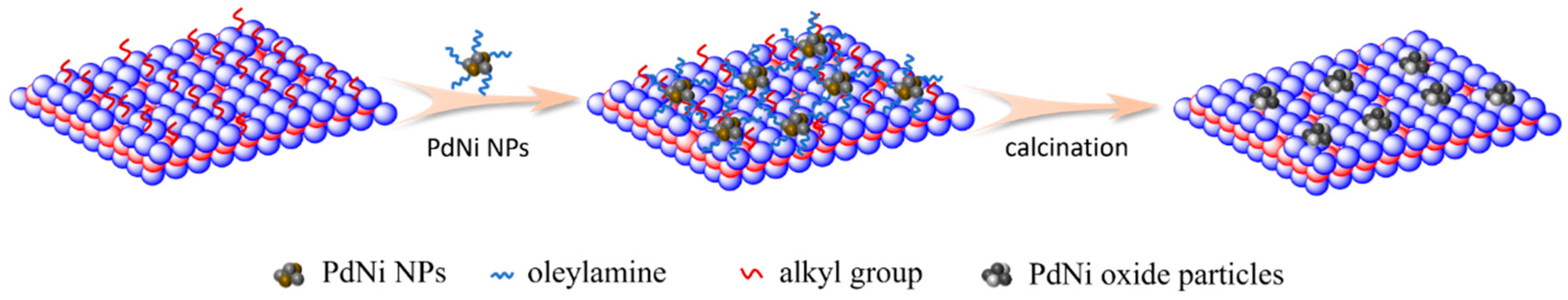 Catalysts 14 00024 g008