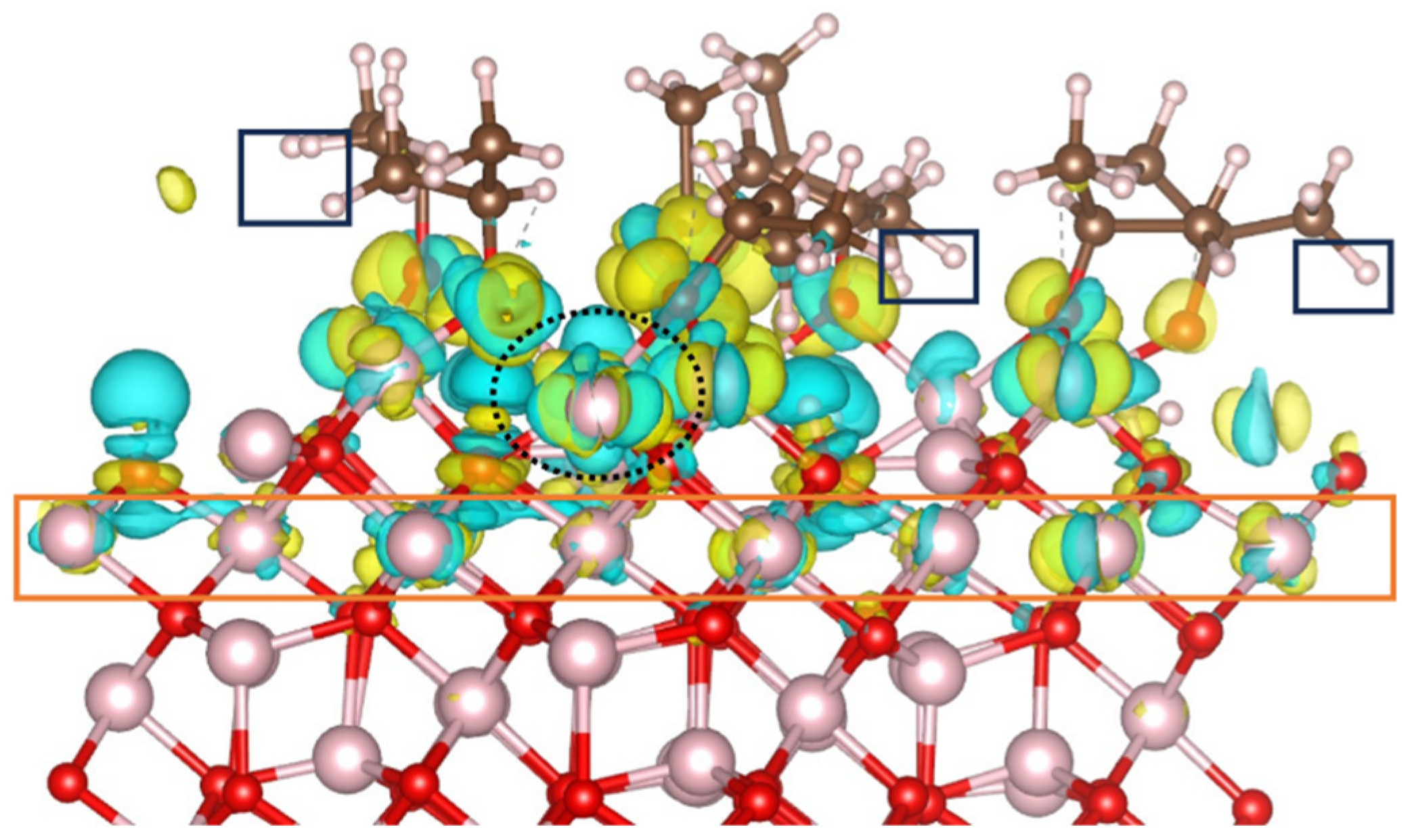 Catalysts 14 00025 g004