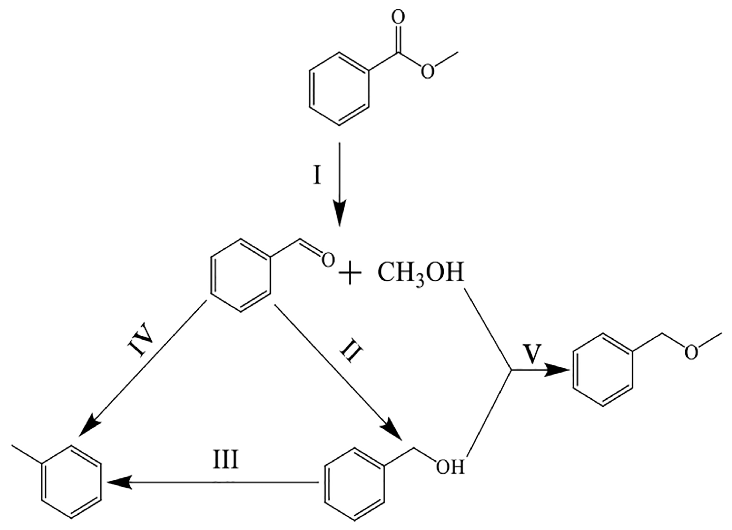 Catalysts 14 00027 g007