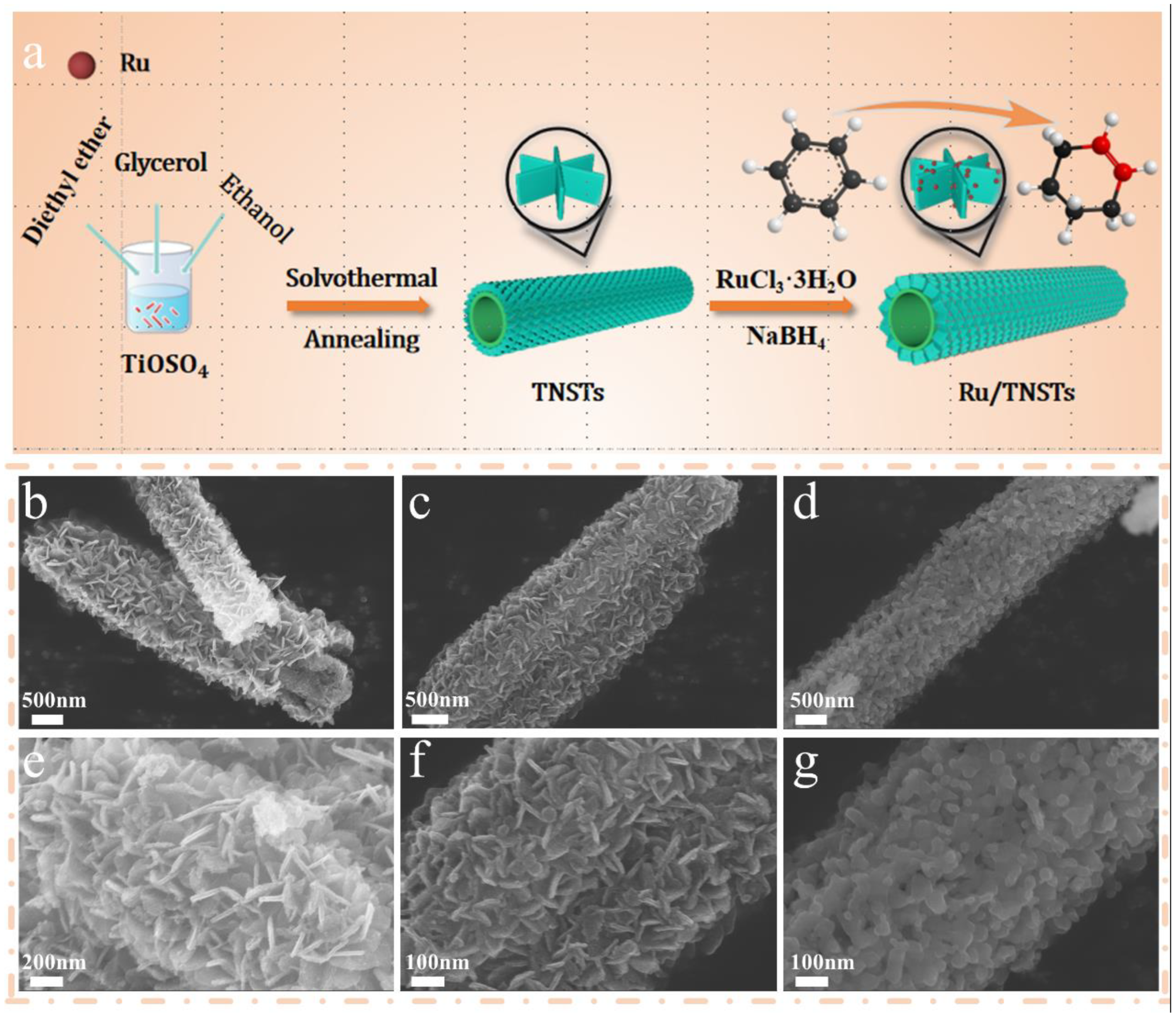 Catalysts 14 00031 g001
