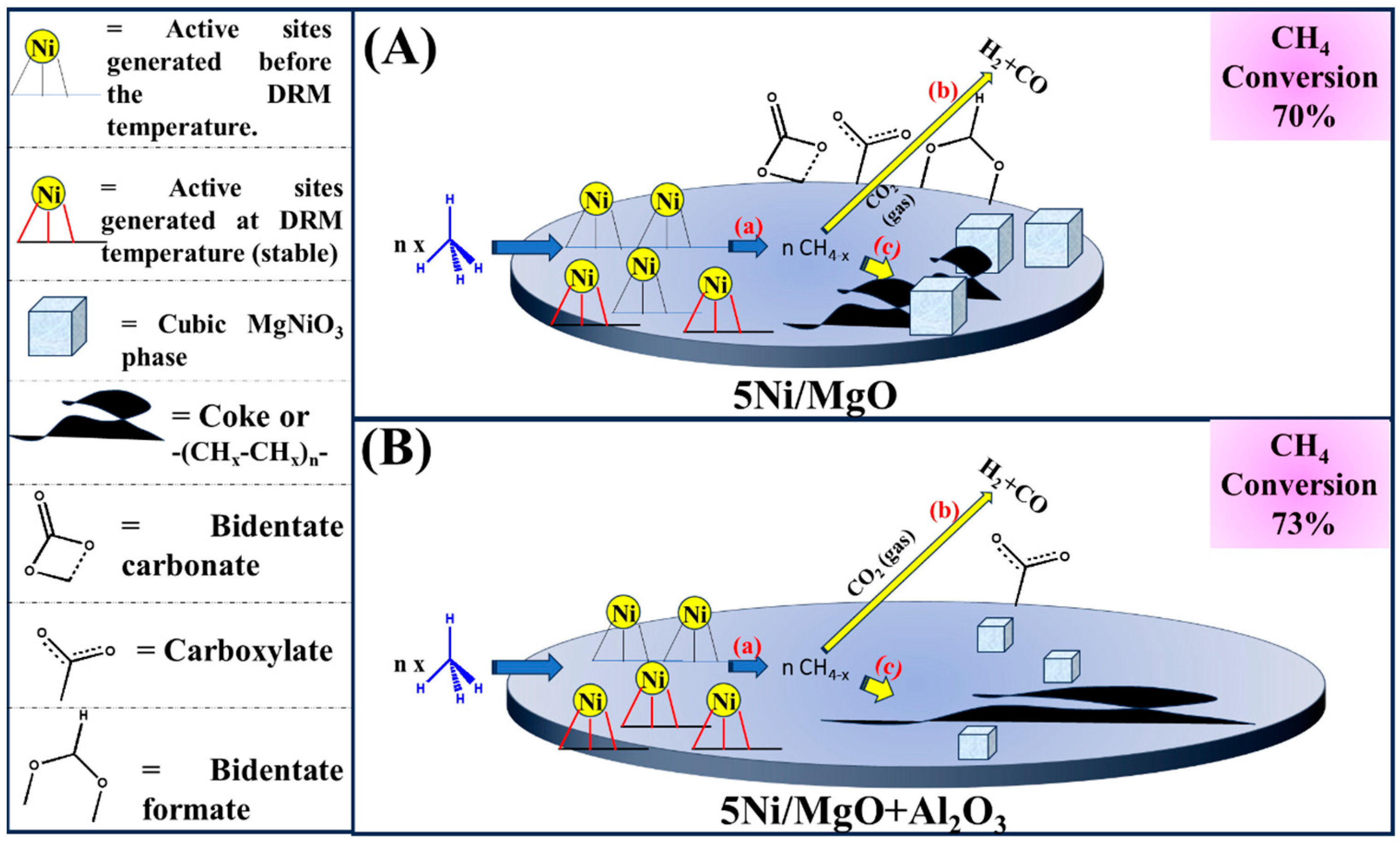 Catalysts 14 00033 g010