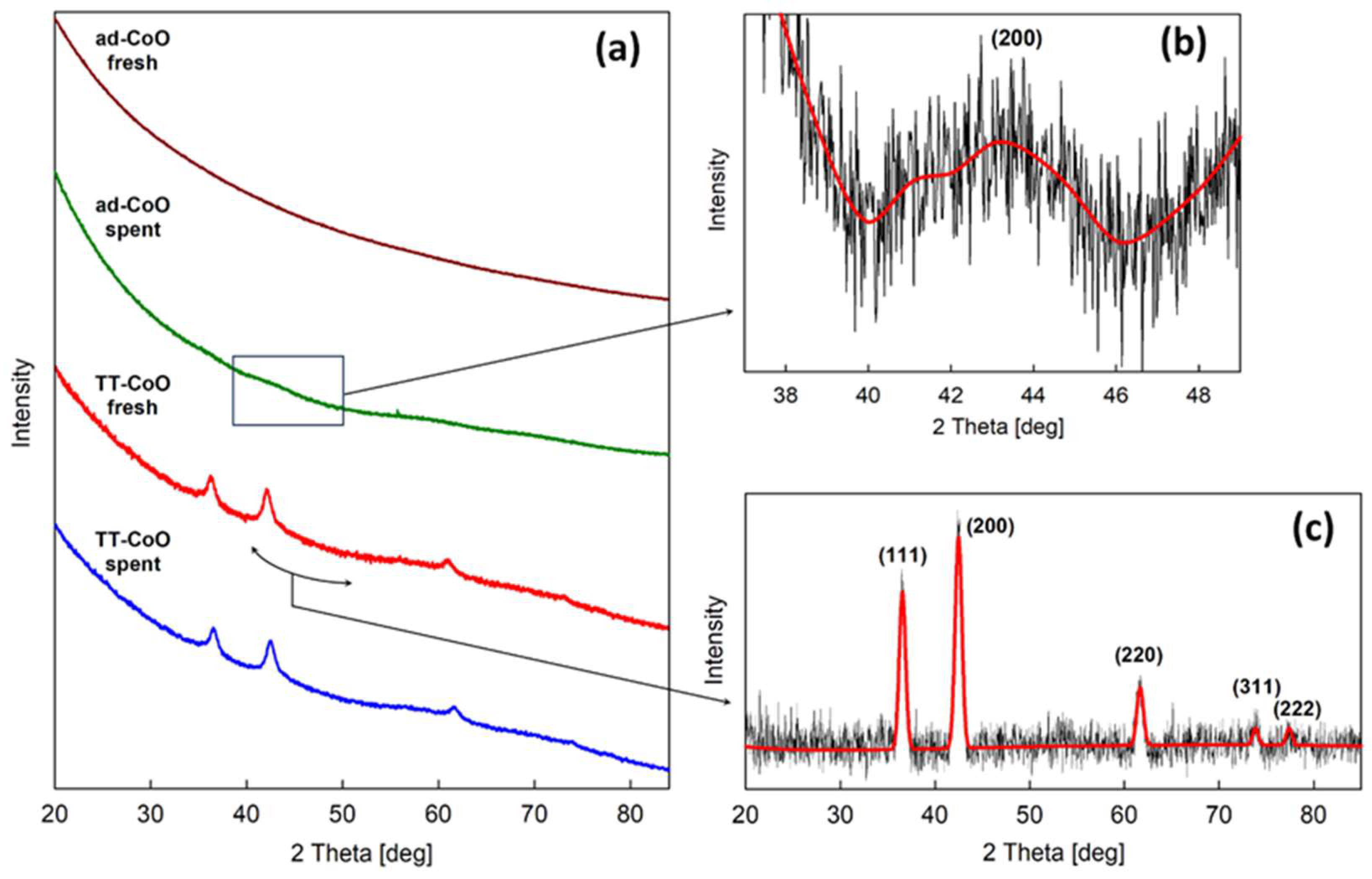 Catalysts 14 00038 g004