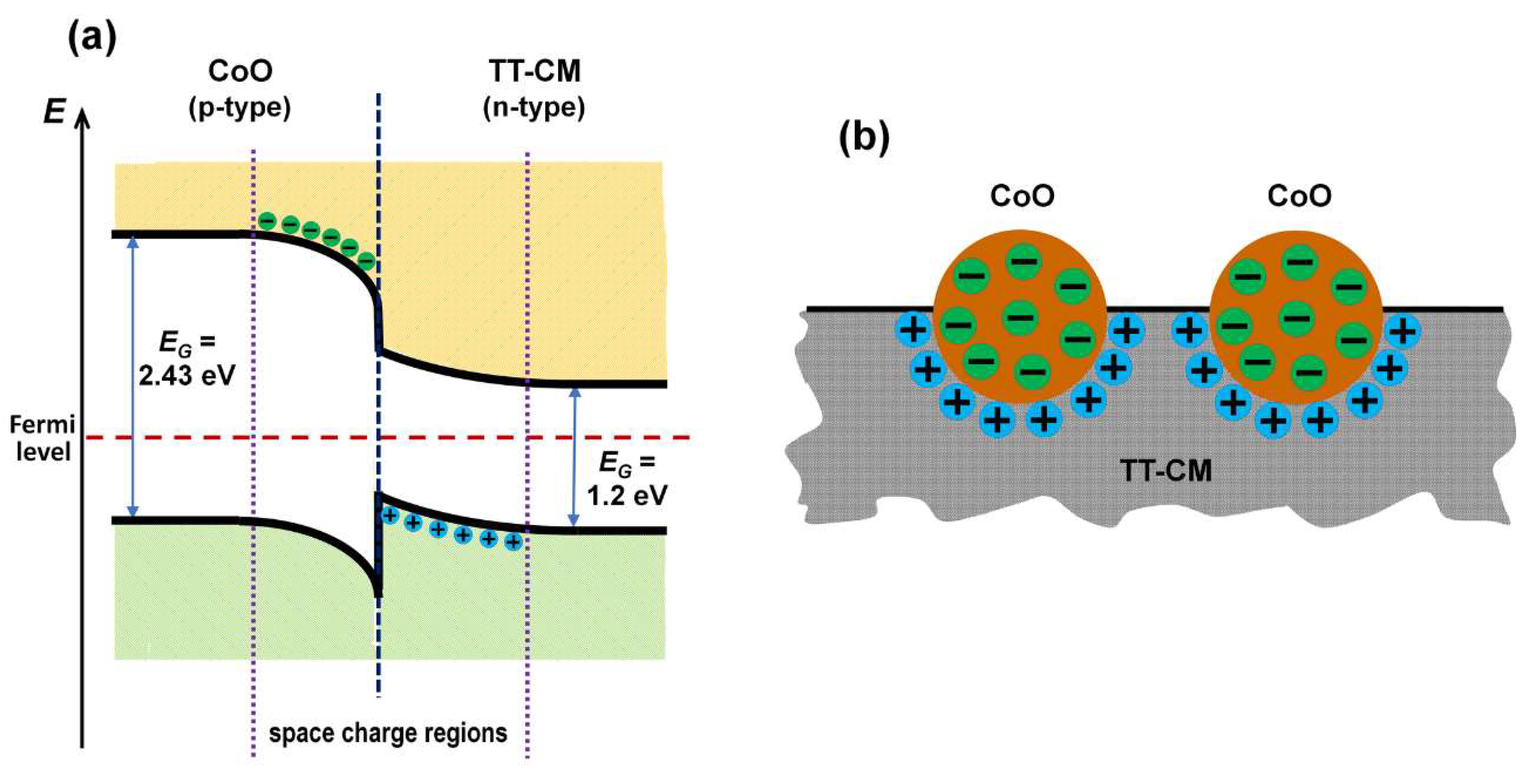 Catalysts 14 00038 g008