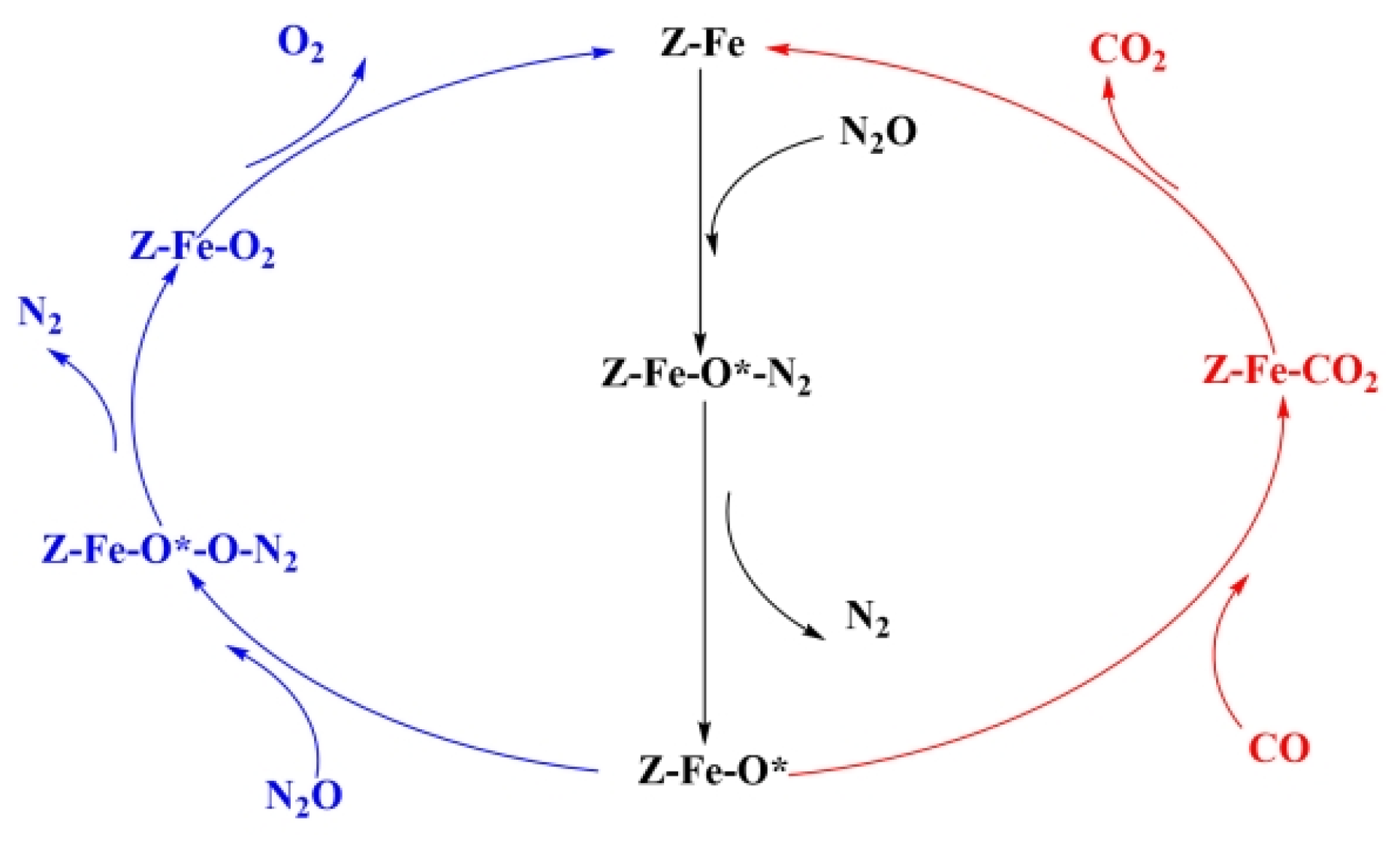 Catalysts 14 00049 g004