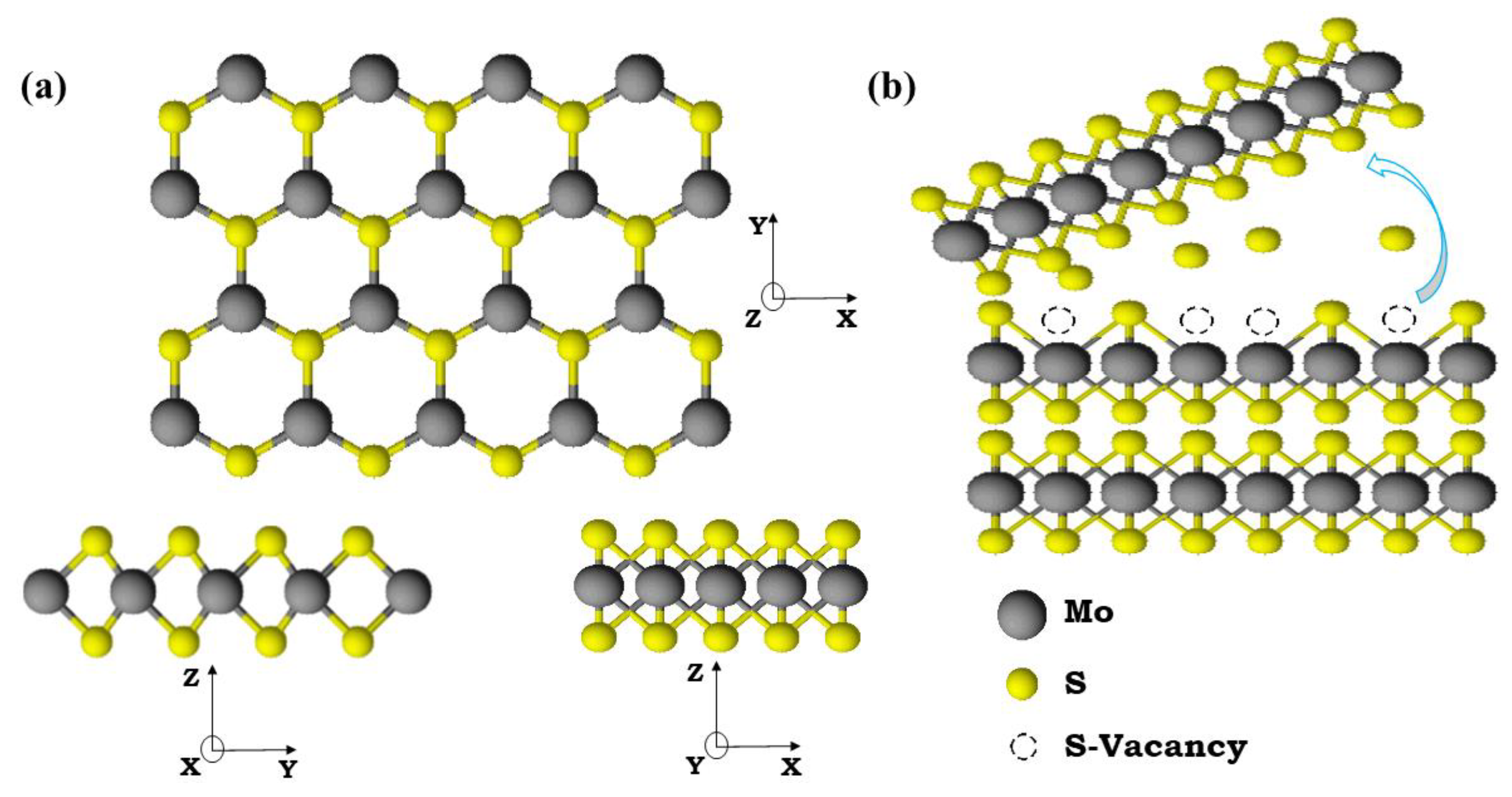 Catalysts 14 00050 g001