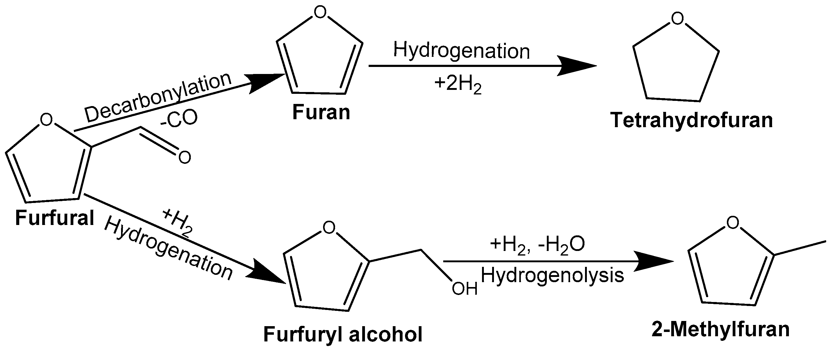 Catalysts 14 00054 g004