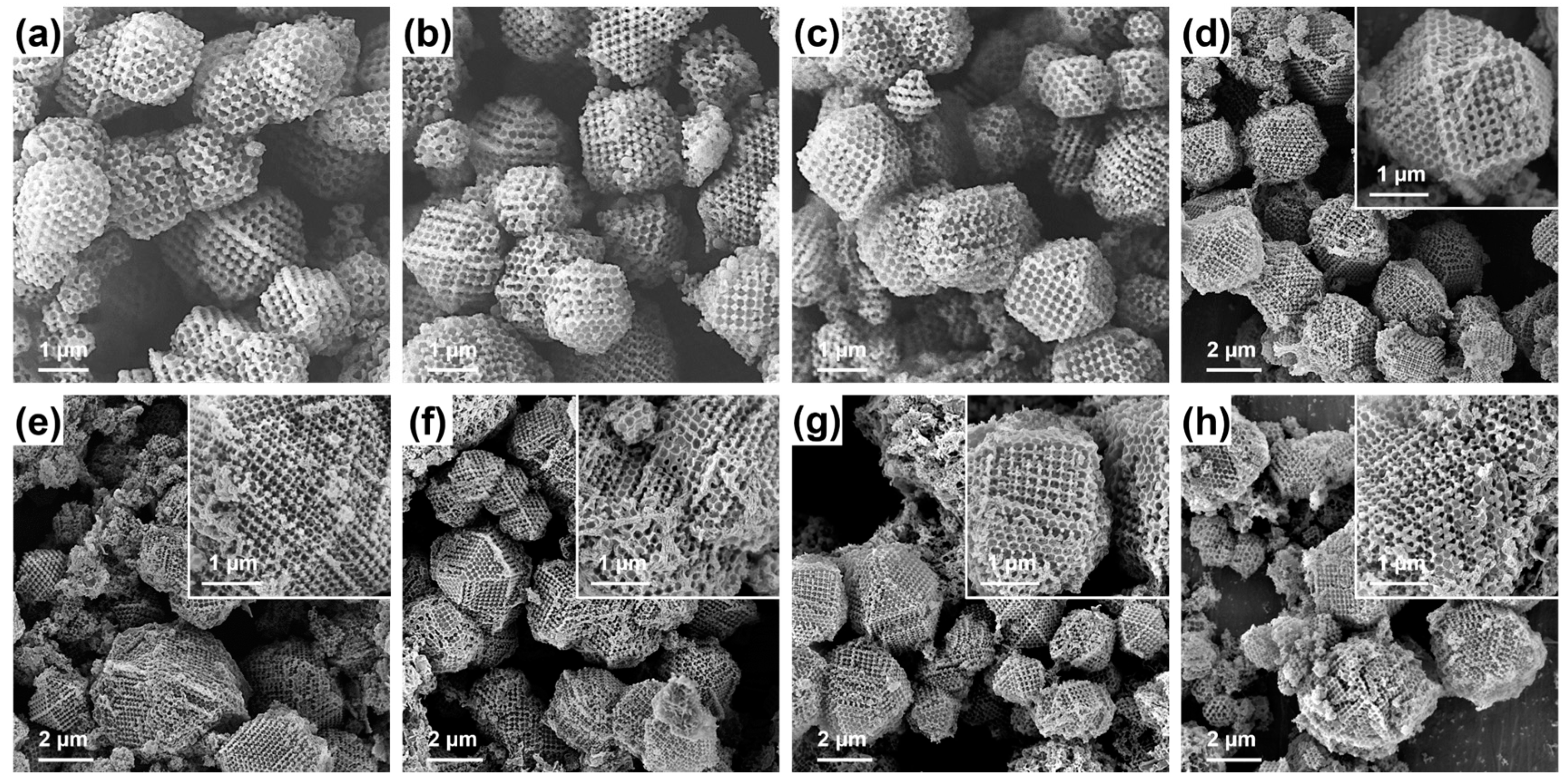 Catalysts 14 00055 g002
