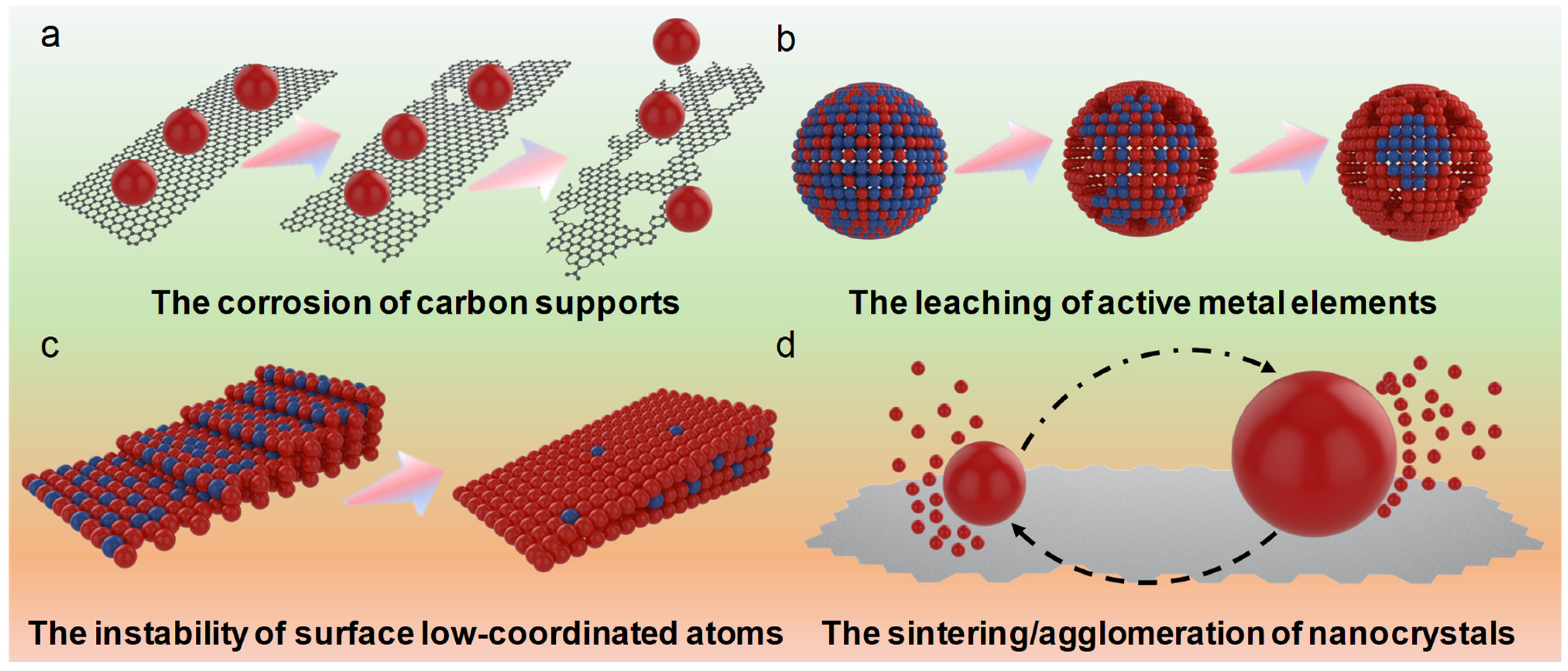 Catalysts 14 00057 g002