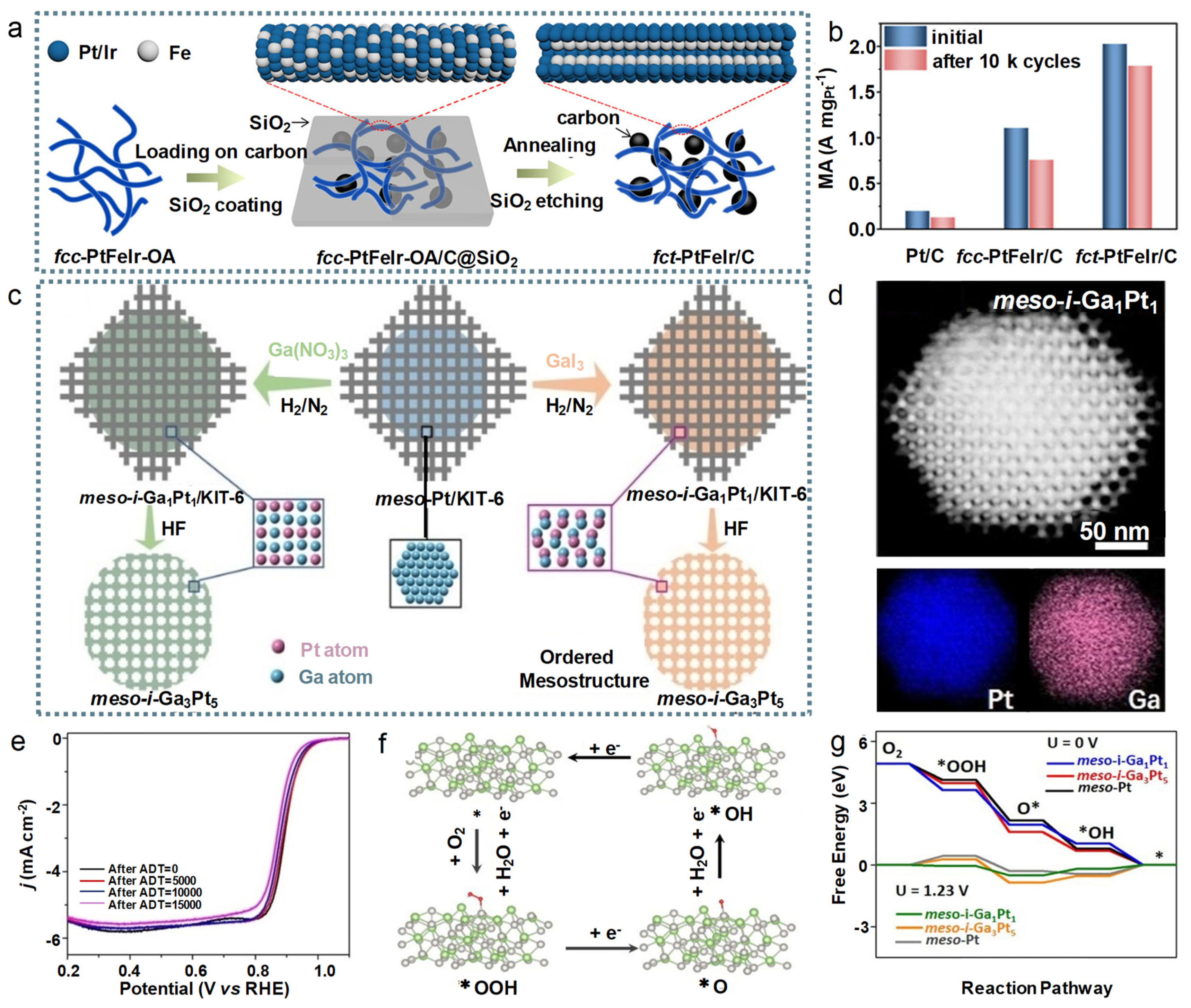 Catalysts 14 00057 g009