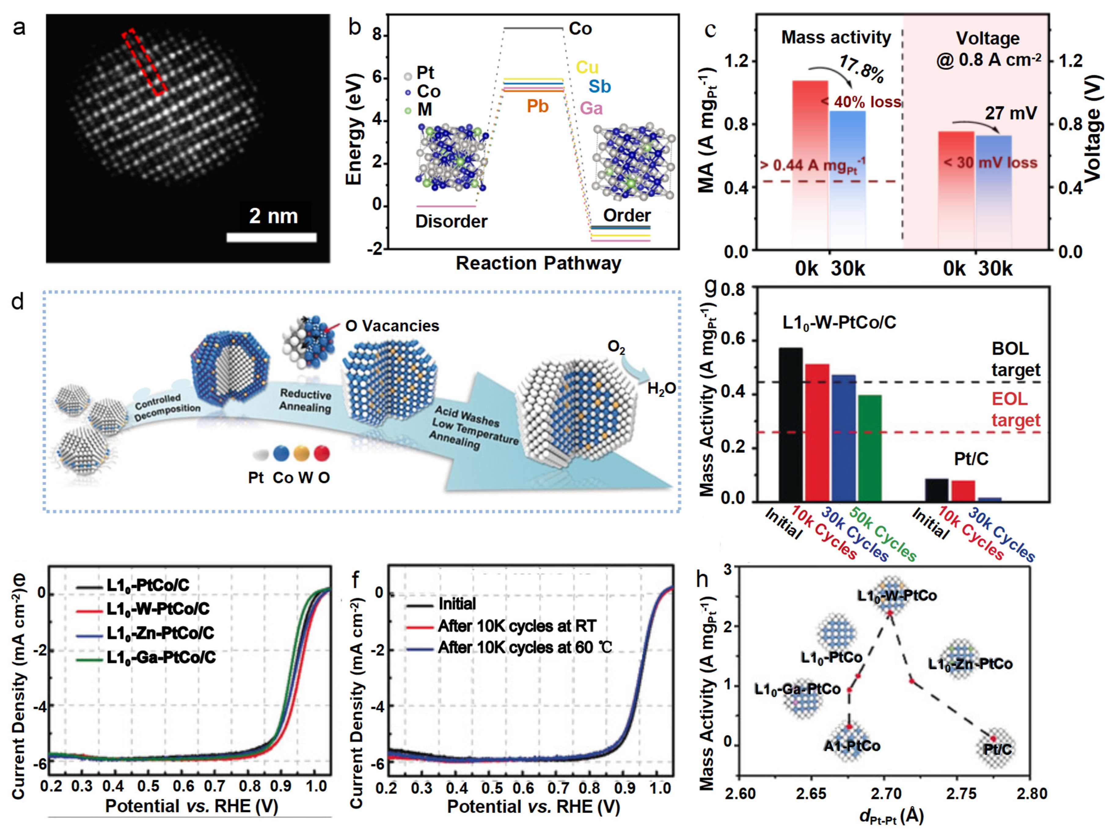 Catalysts 14 00057 g010