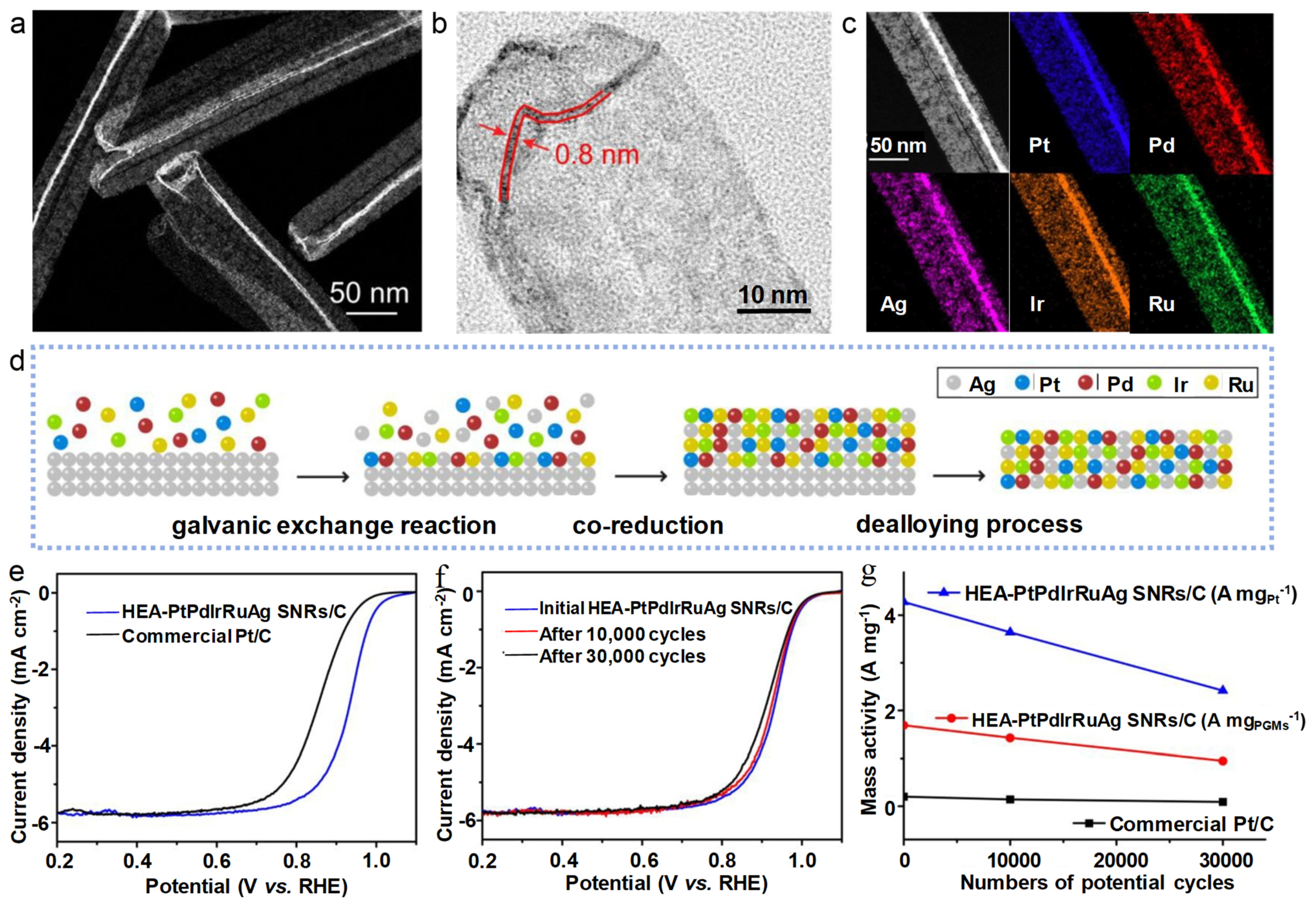 Catalysts 14 00057 g012