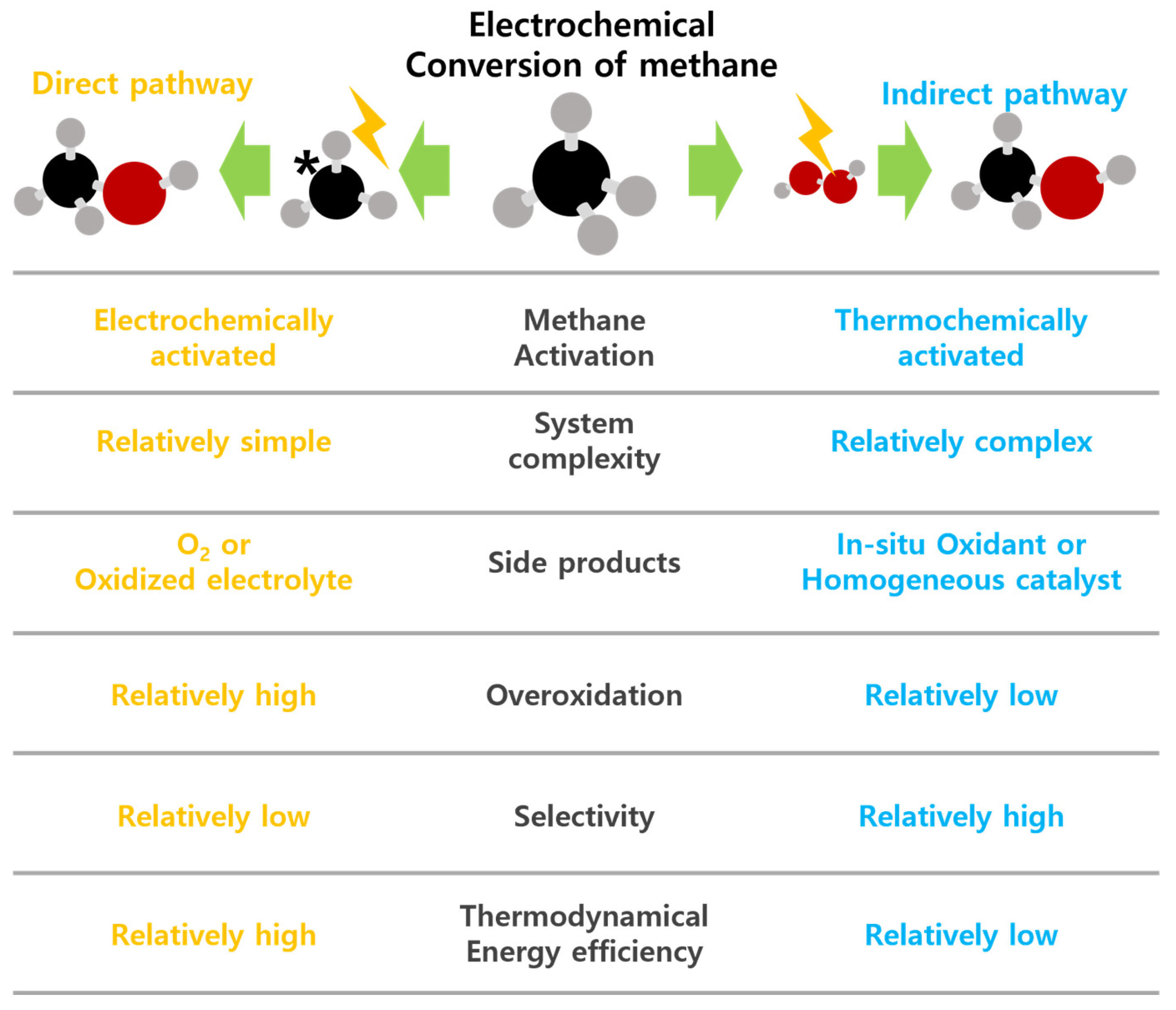 Catalysts 14 00058 g012