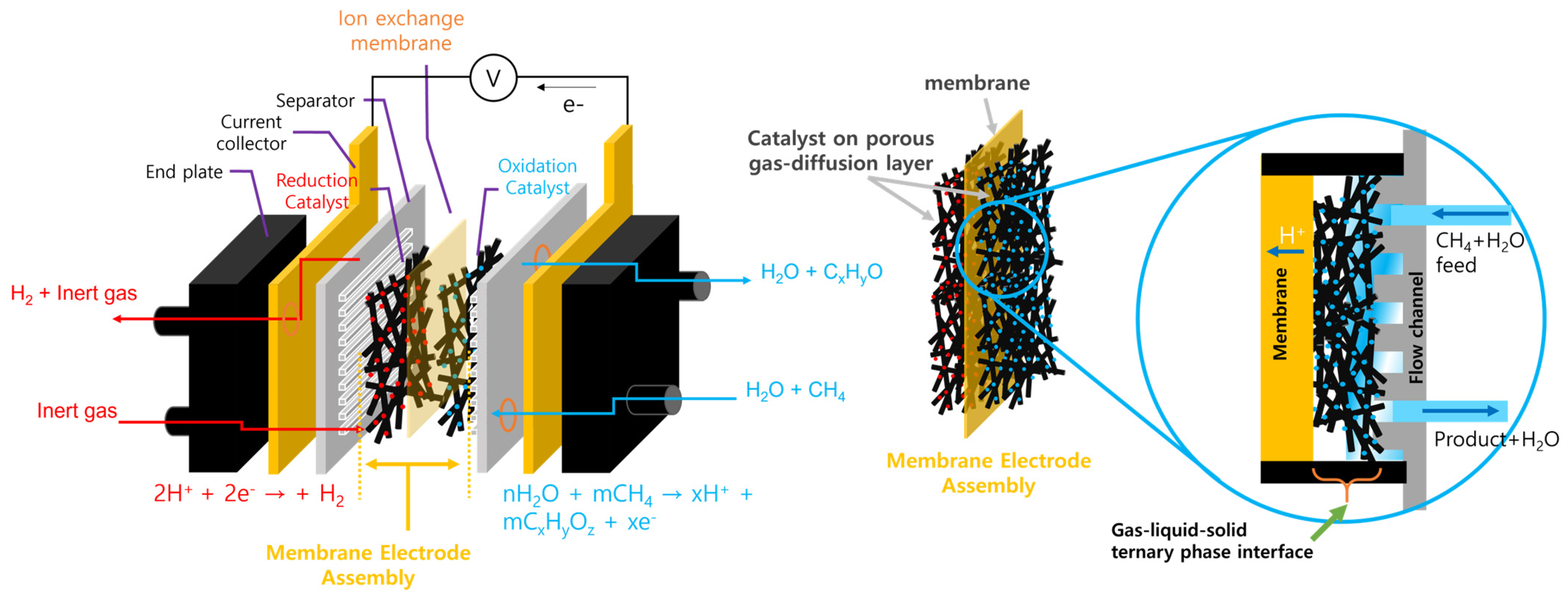 Catalysts 14 00058 g013