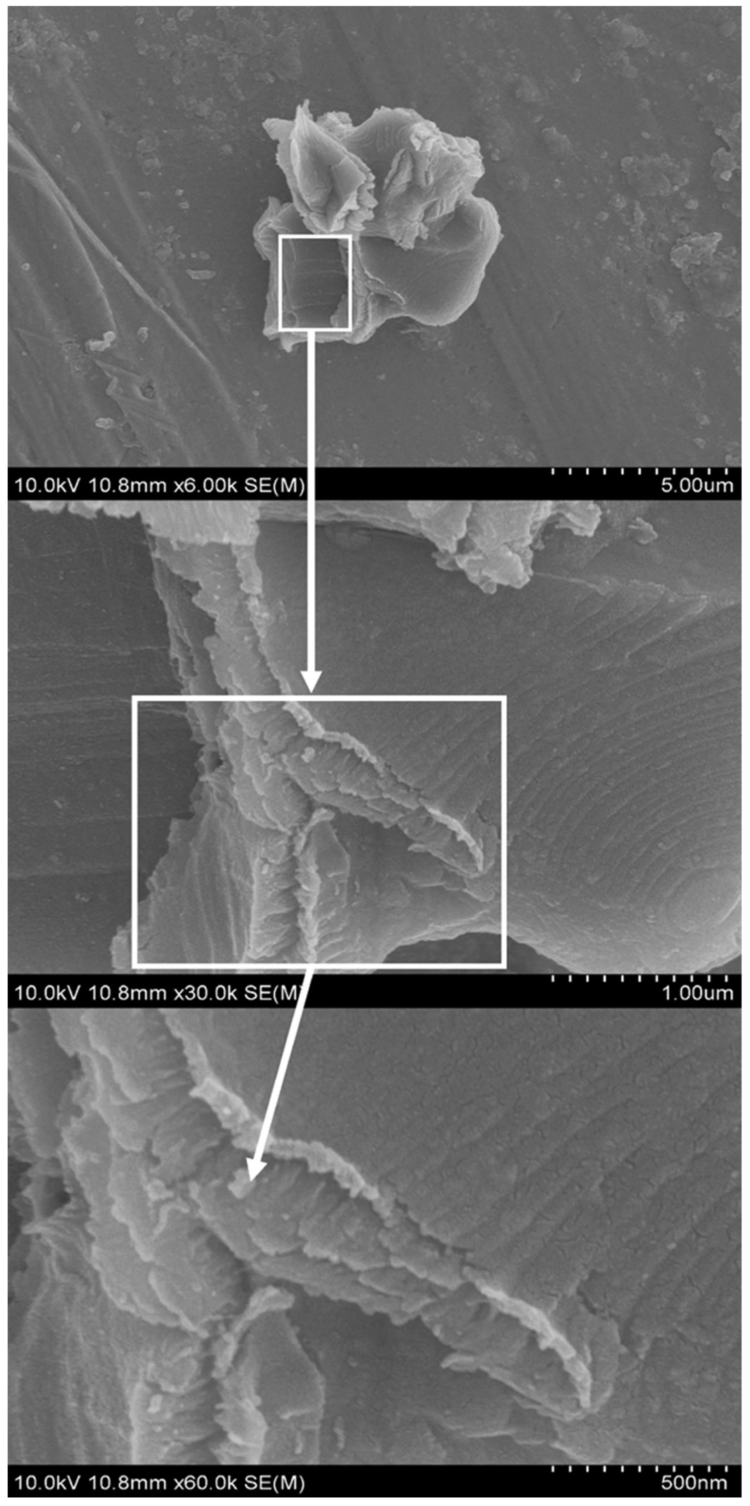 Catalysts 14 00059 g007