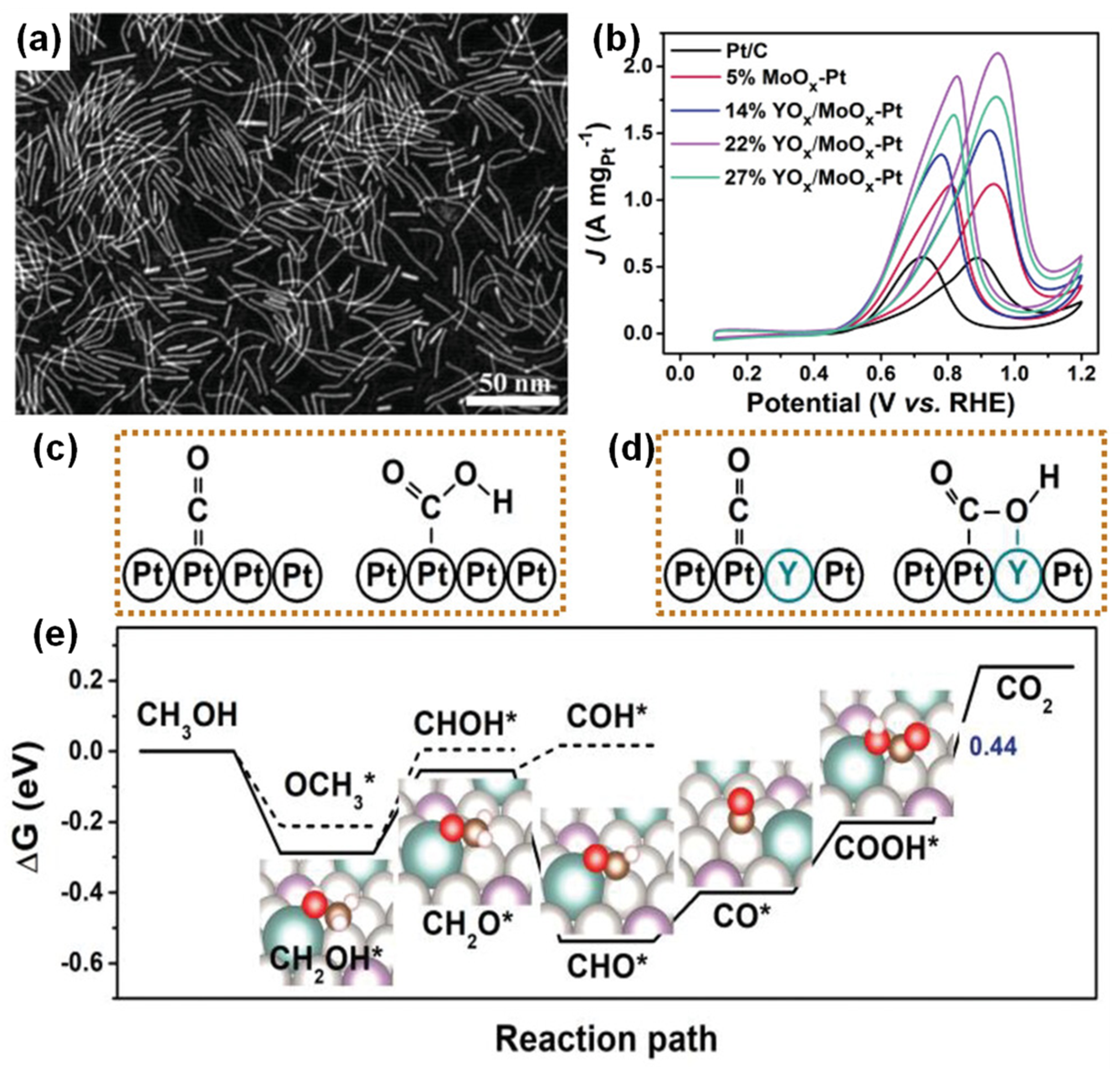 Catalysts 14 00060 g004