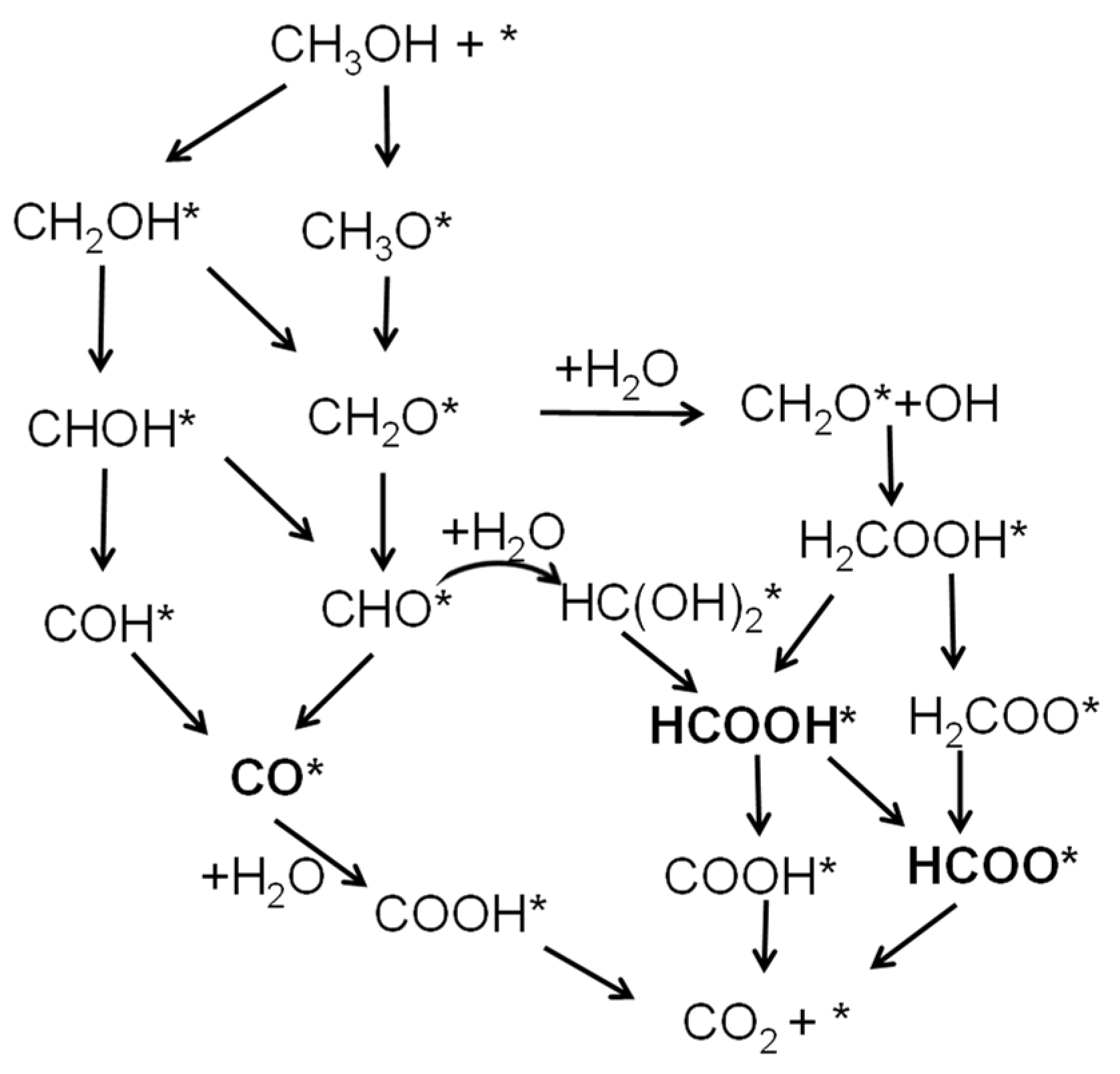 Catalysts 14 00060 sch001