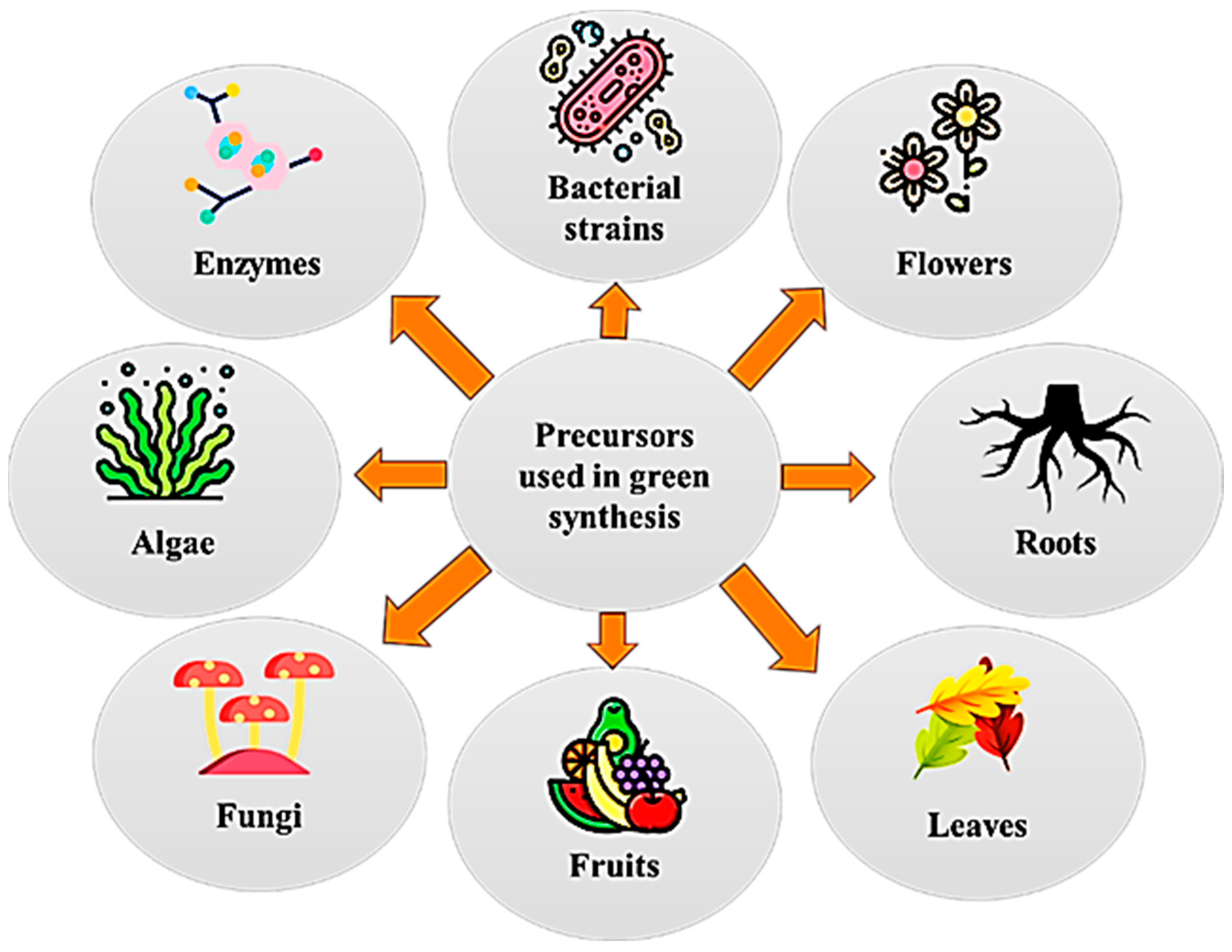 Catalysts 14 00062 g001