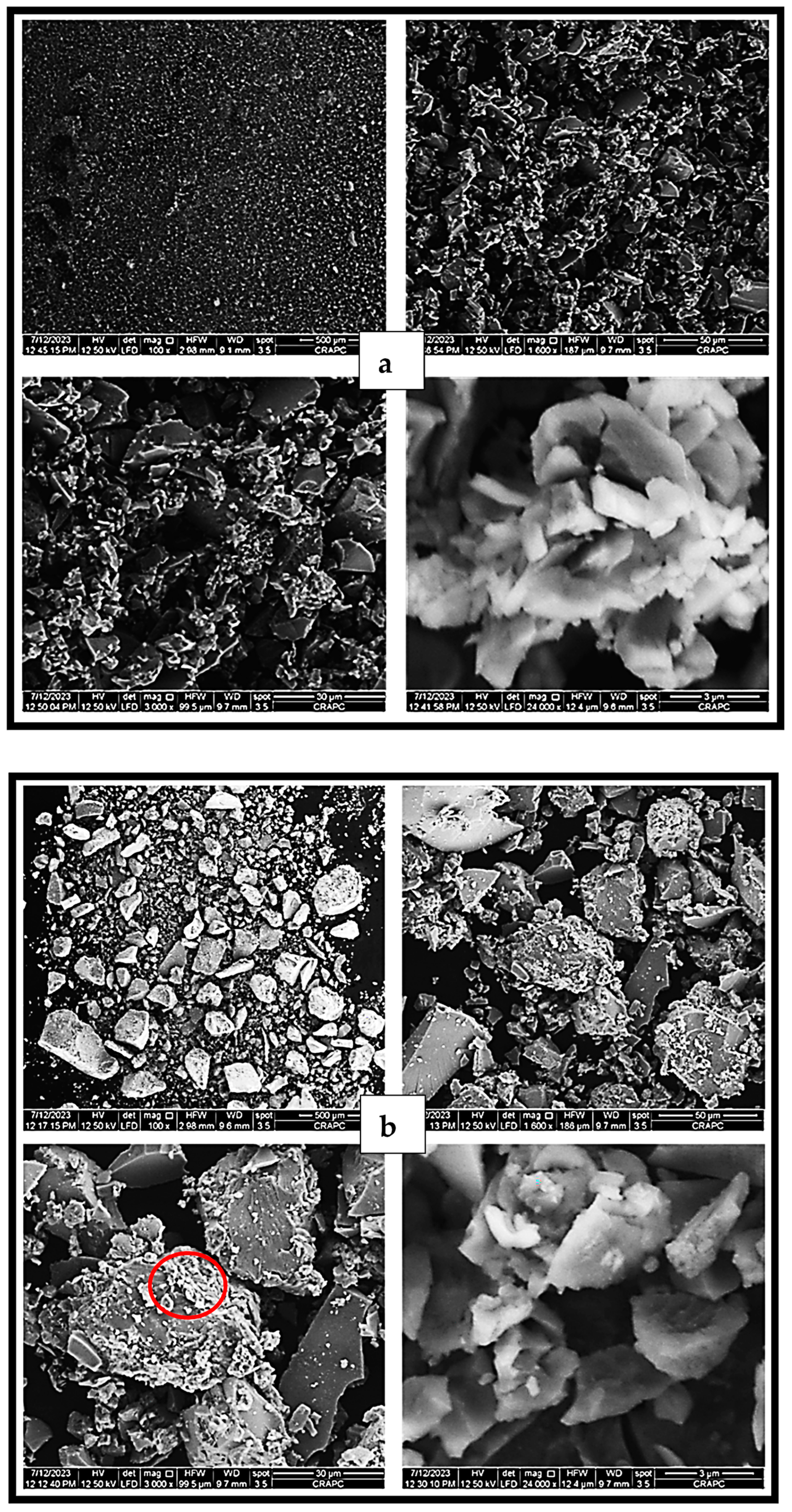 Catalysts 14 00062 g004