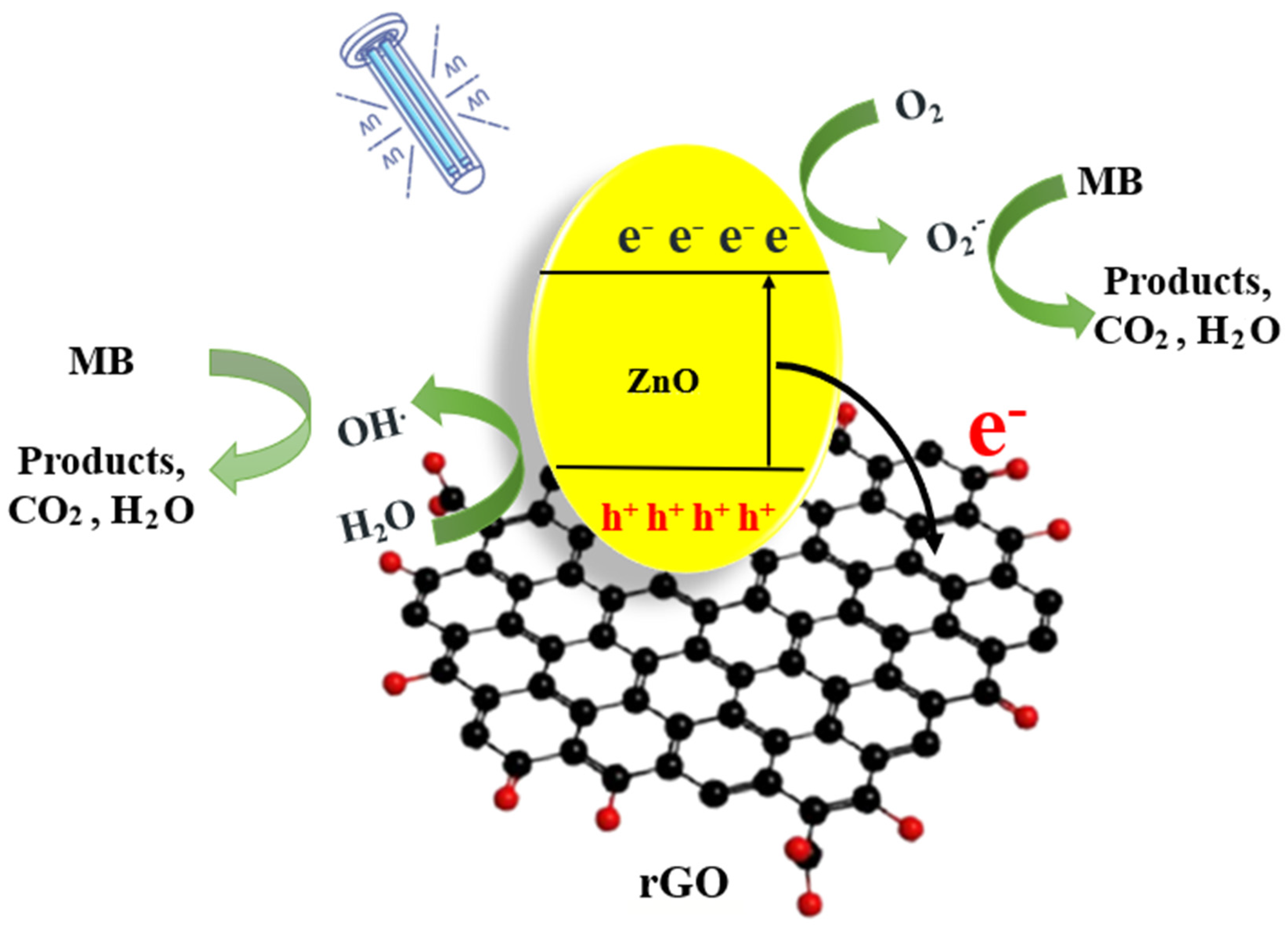 Catalysts 14 00062 g014