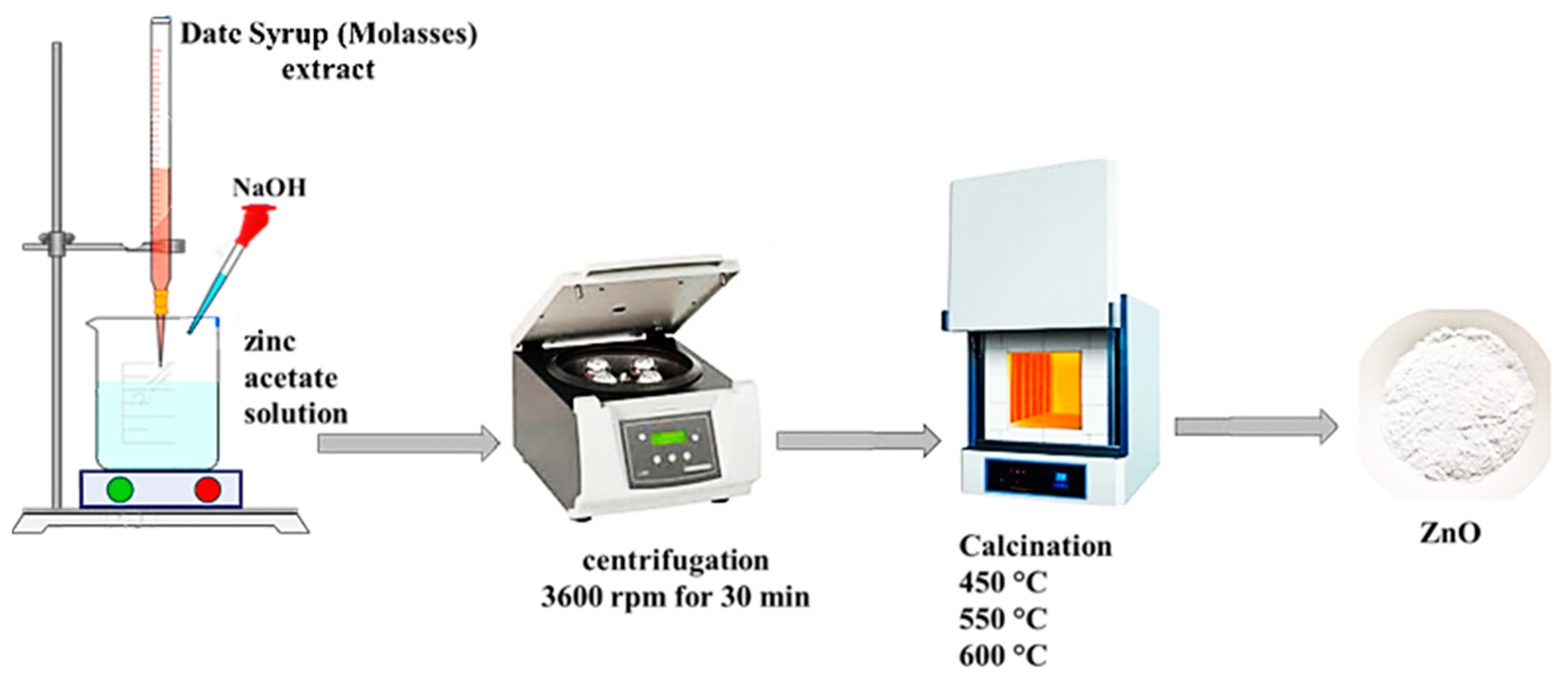 Catalysts 14 00062 g016
