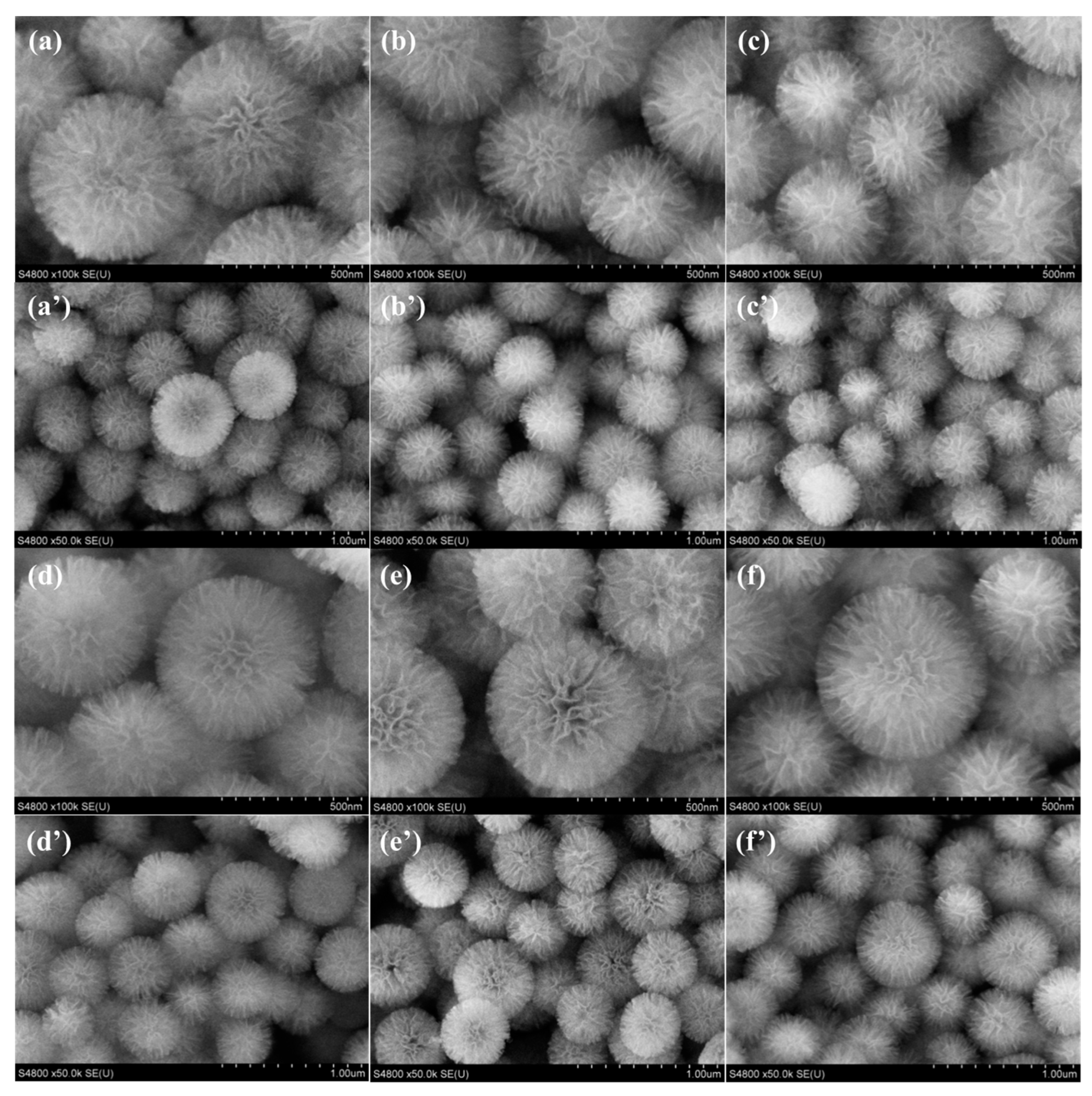 Catalysts 14 00063 g001