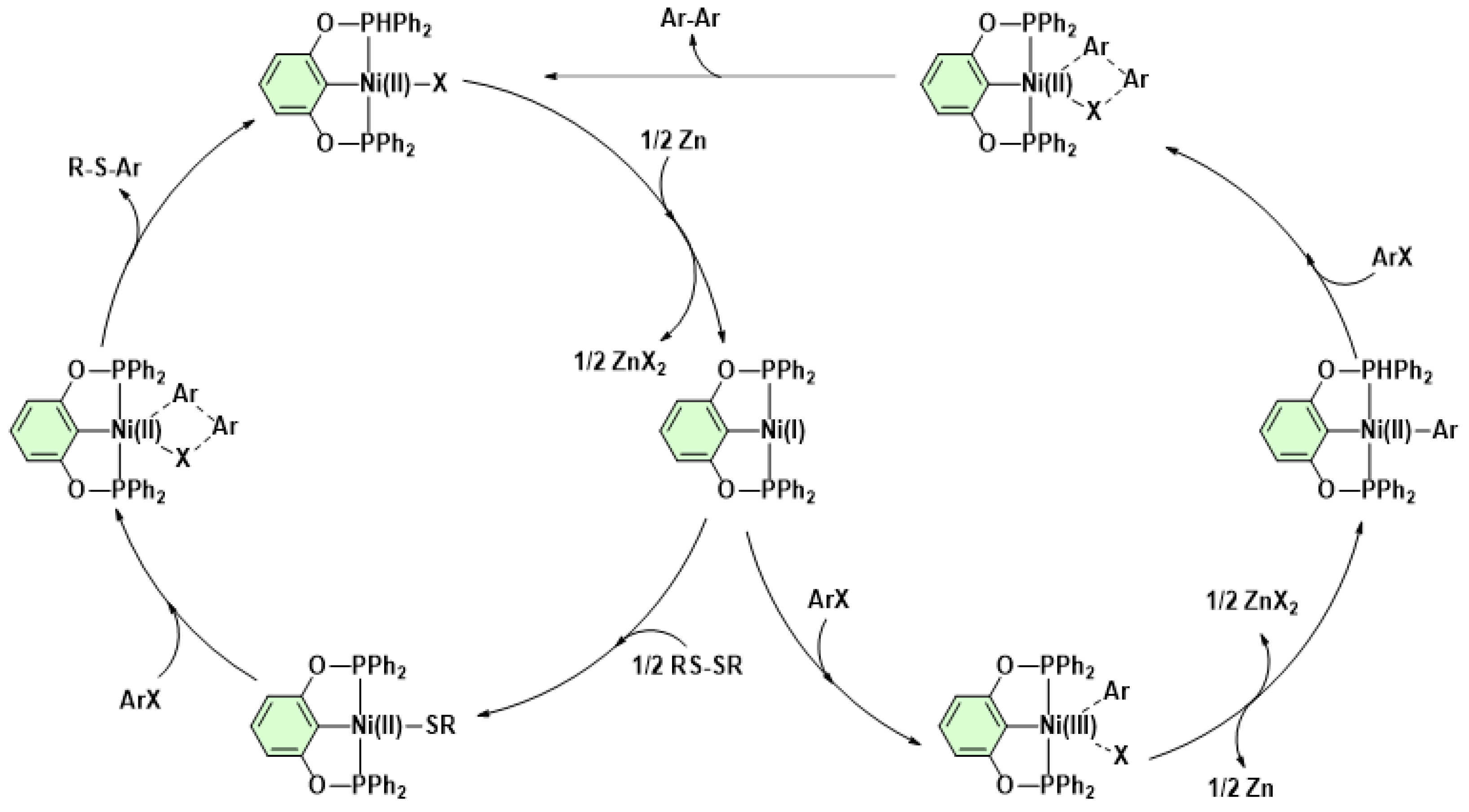 Catalysts 14 00069 sch005 Catalysts 14 00069 sch005