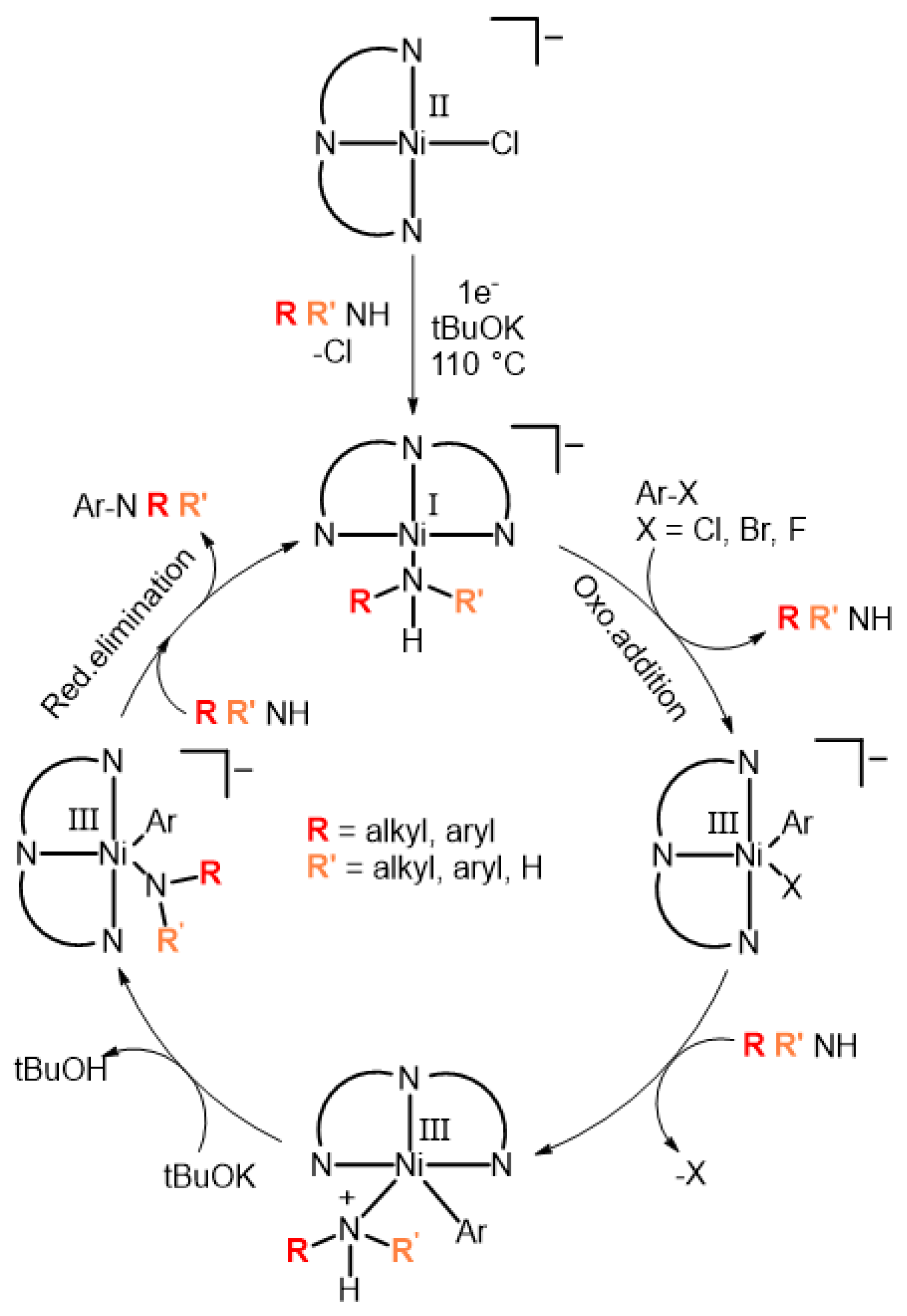 Catalysts 14 00069 sch011 Catalysts 14 00069 sch011
