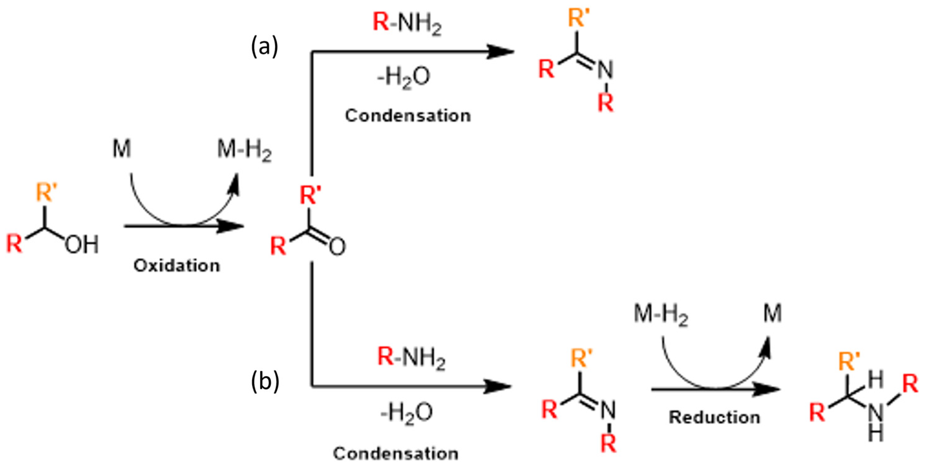 Catalysts 14 00069 sch012 Catalysts 14 00069 sch012