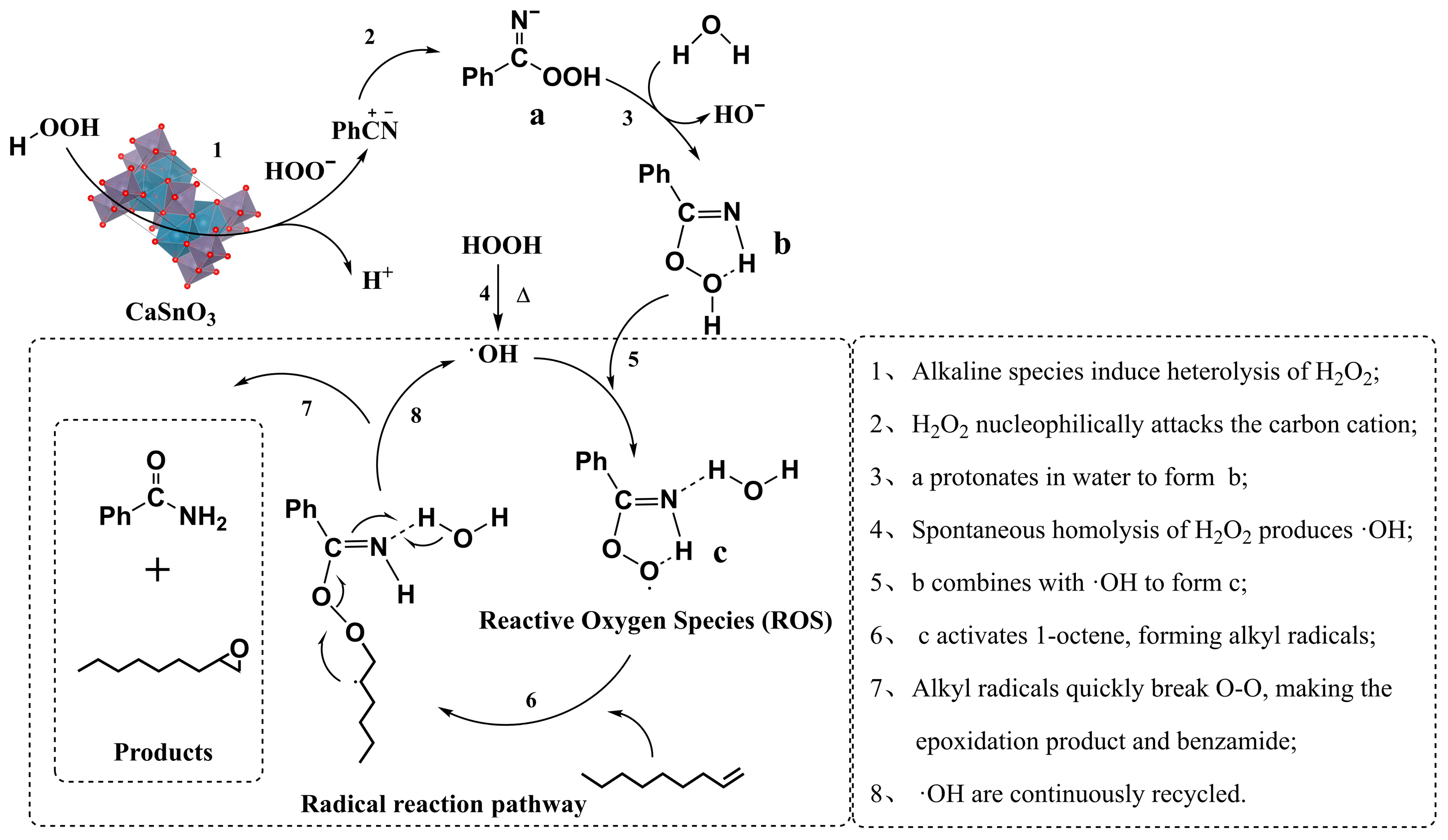 Catalysts 14 00070 sch001