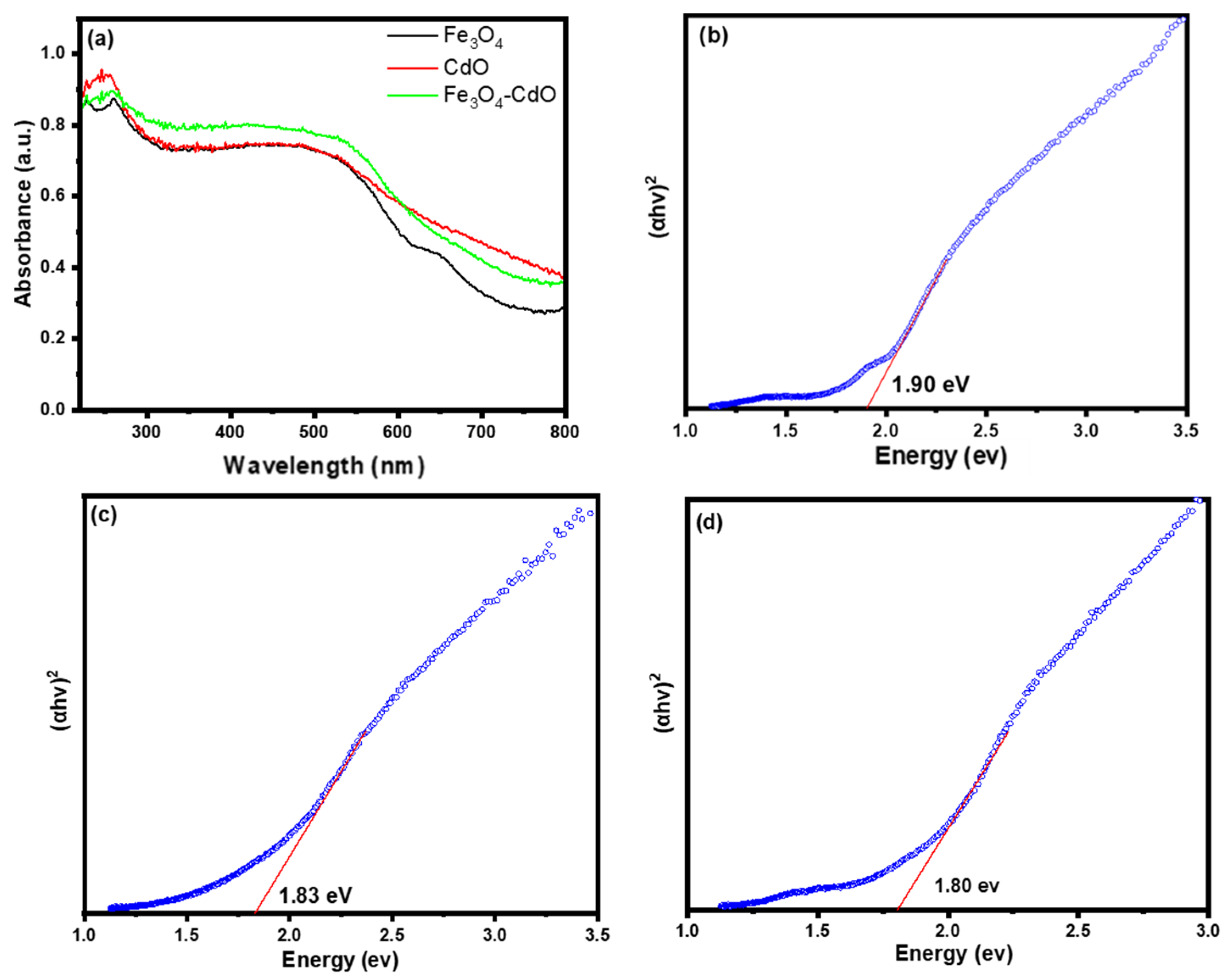 Catalysts 14 00071 g001