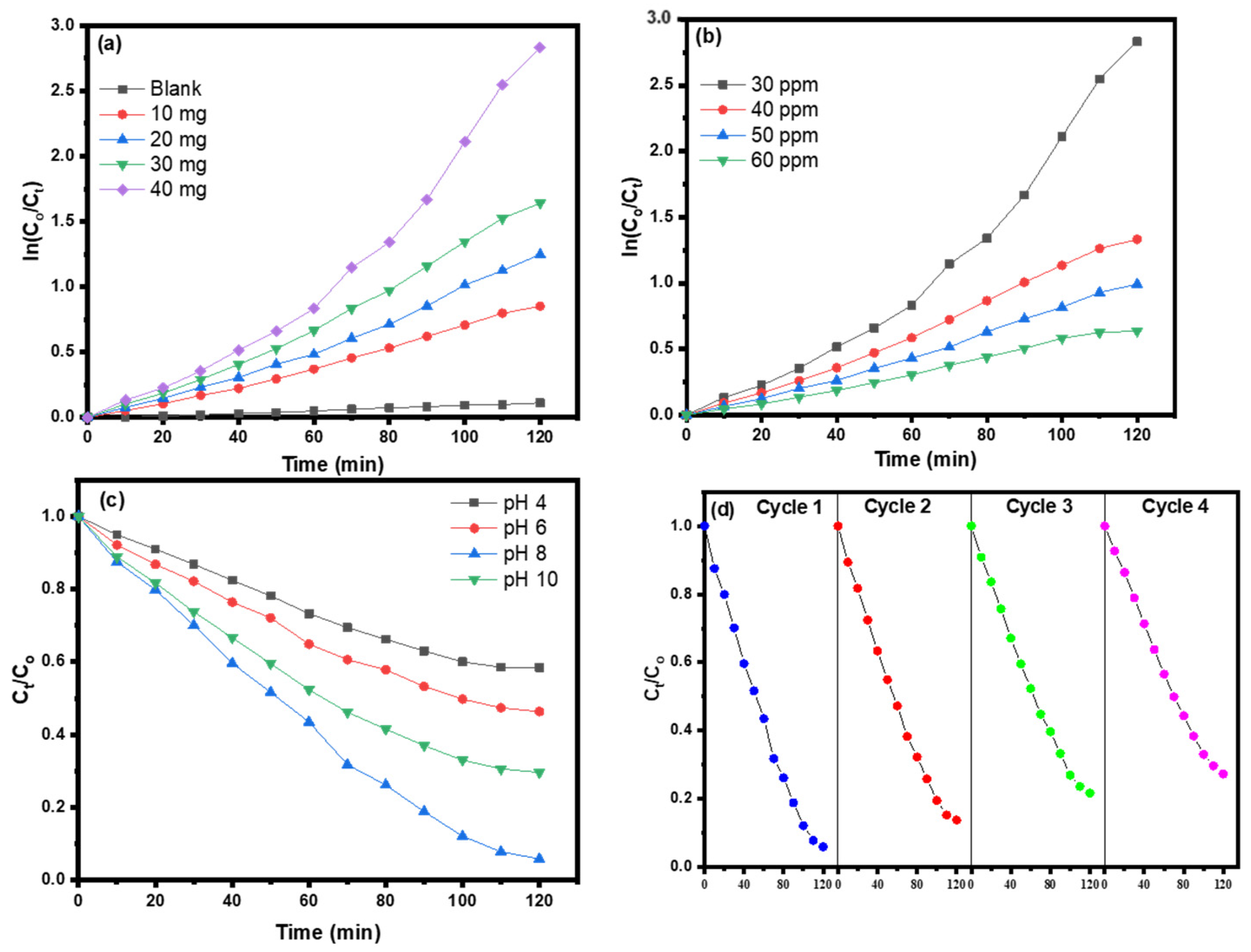 Catalysts 14 00071 g009