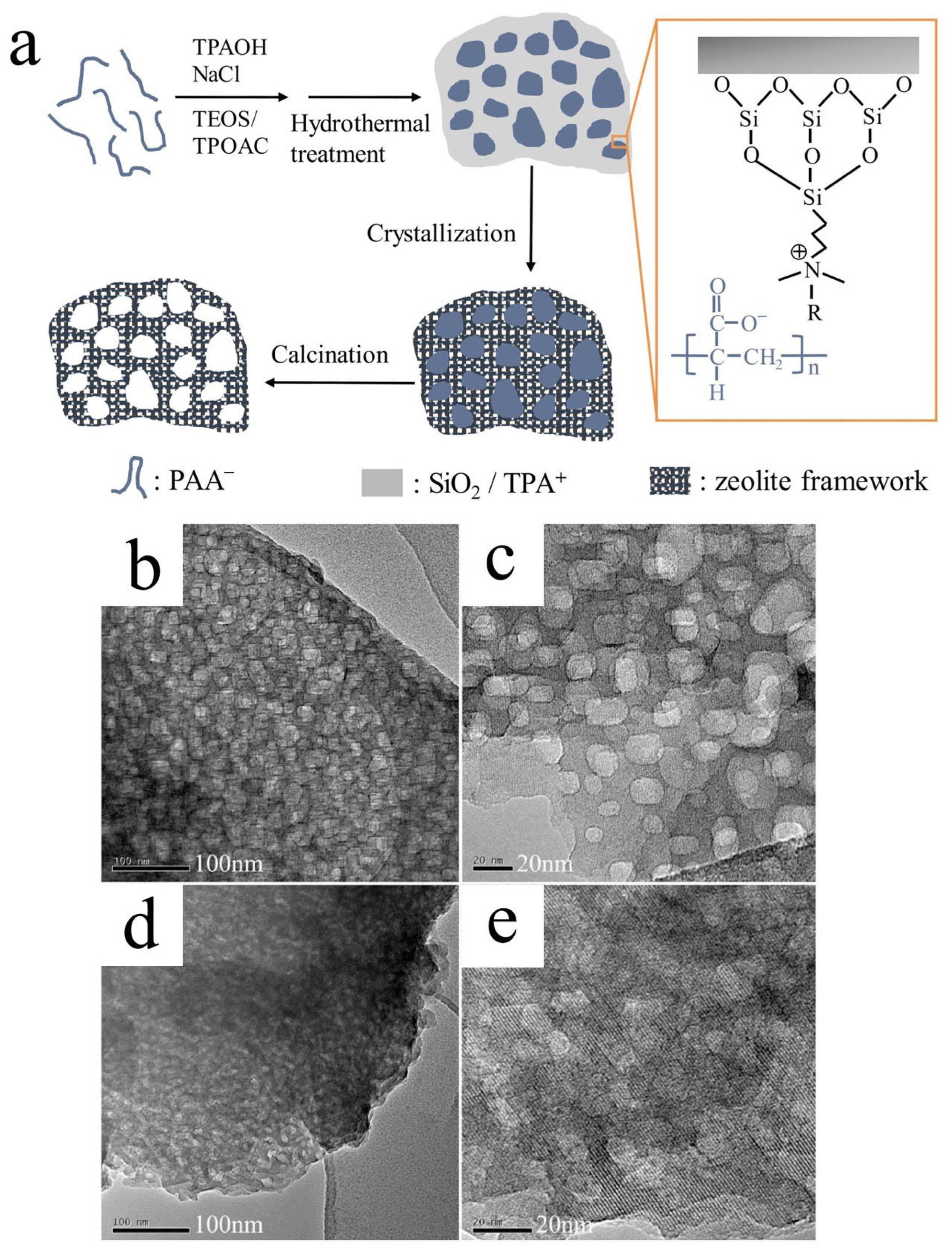 Catalysts 14 00075 g004