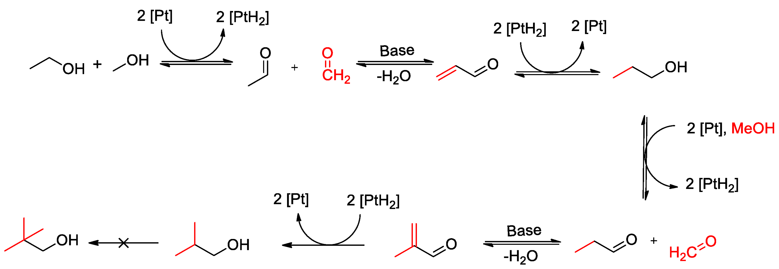 Catalysts 14 00077 g001