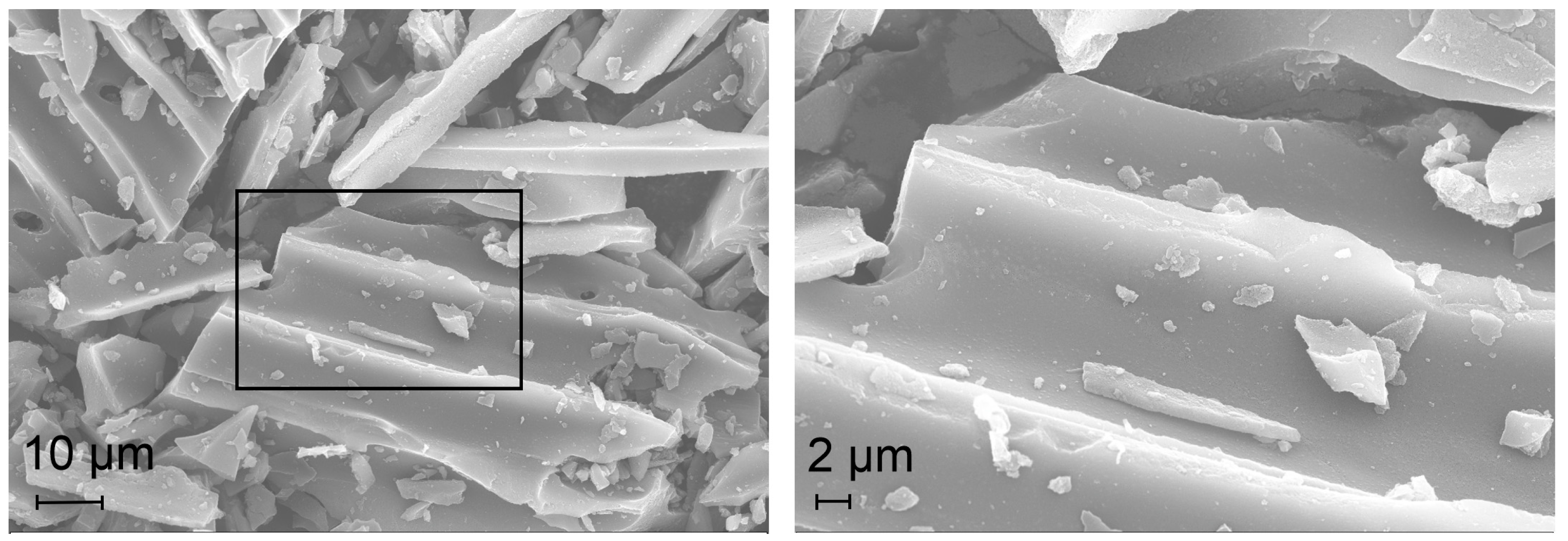 Catalysts 14 00077 g005a