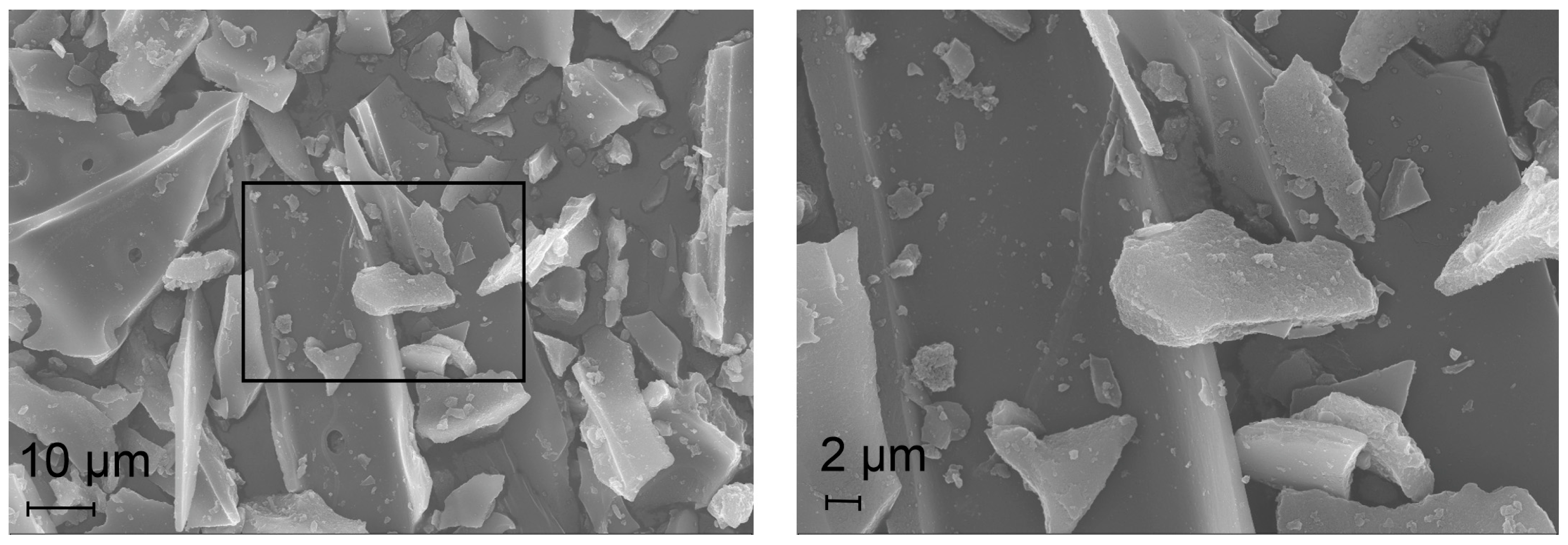 Catalysts 14 00077 g005b