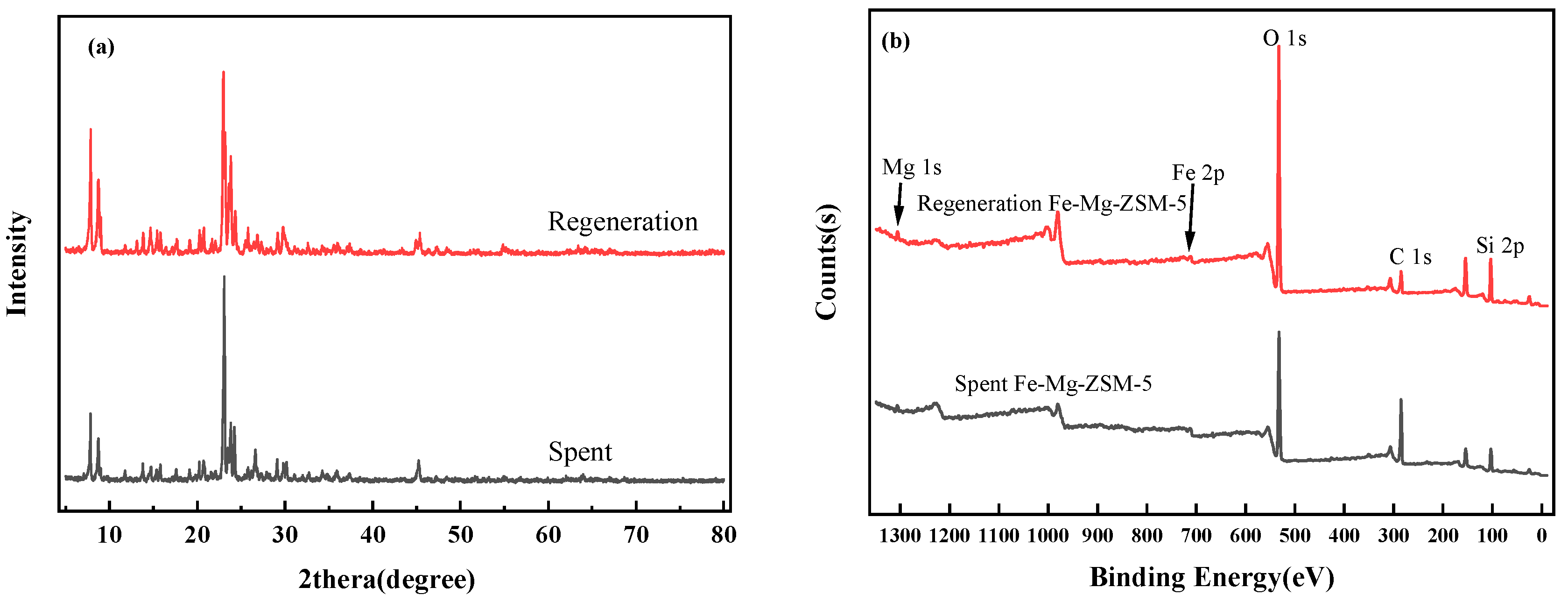 Catalysts 14 00078 g013