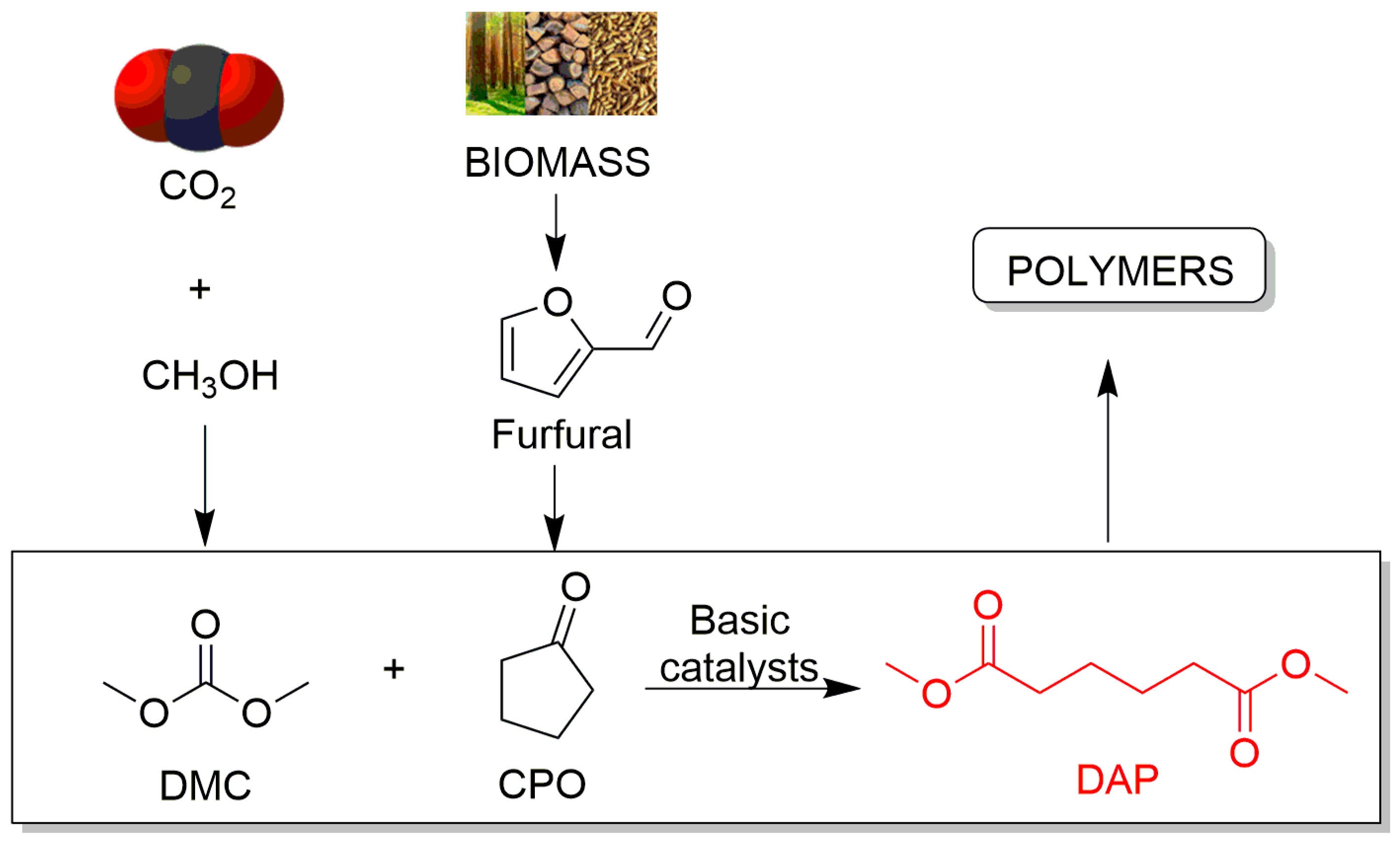 Catalysts 14 00086 sch001 Catalysts 14 00086 sch001