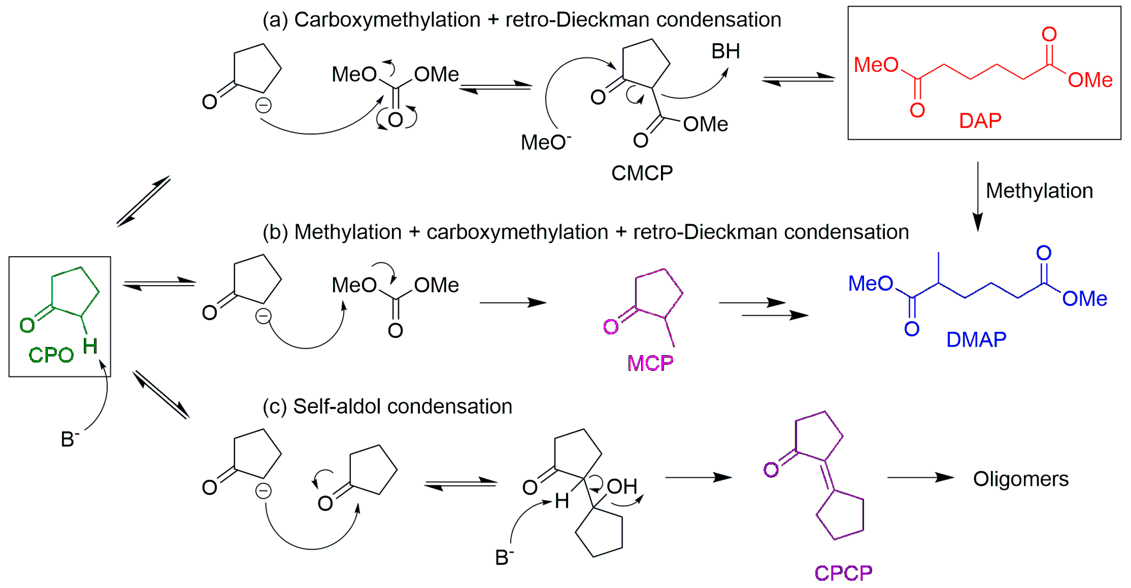 Catalysts 14 00086 sch002 Catalysts 14 00086 sch002