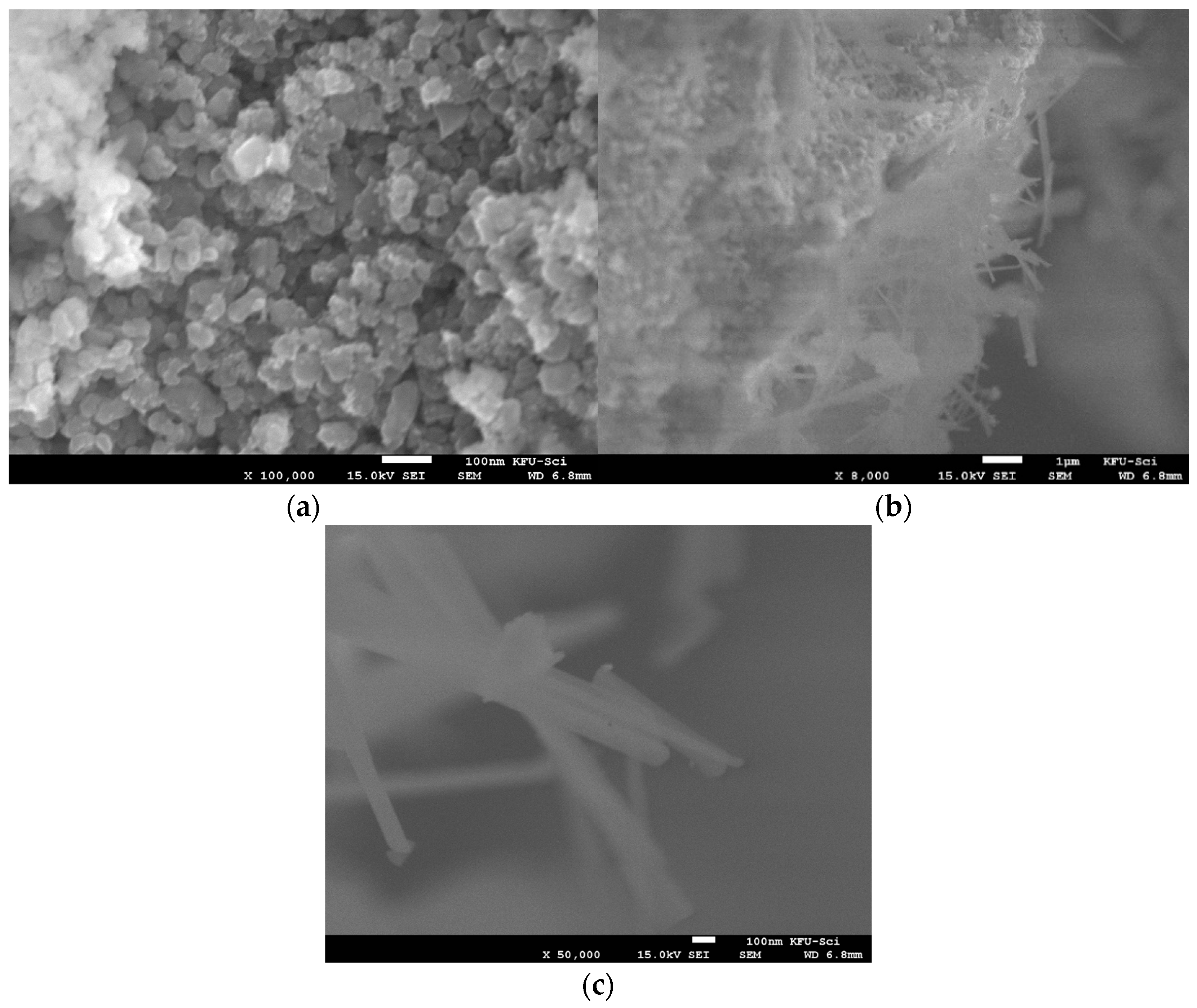 Catalysts 14 00089 g005