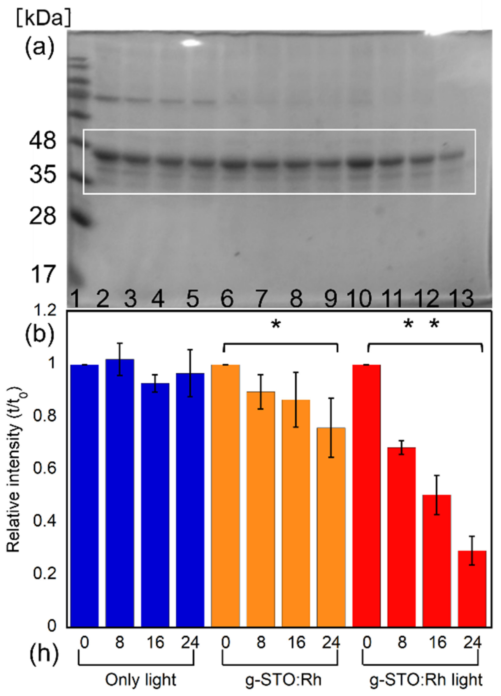 Catalysts 14 00094 g005