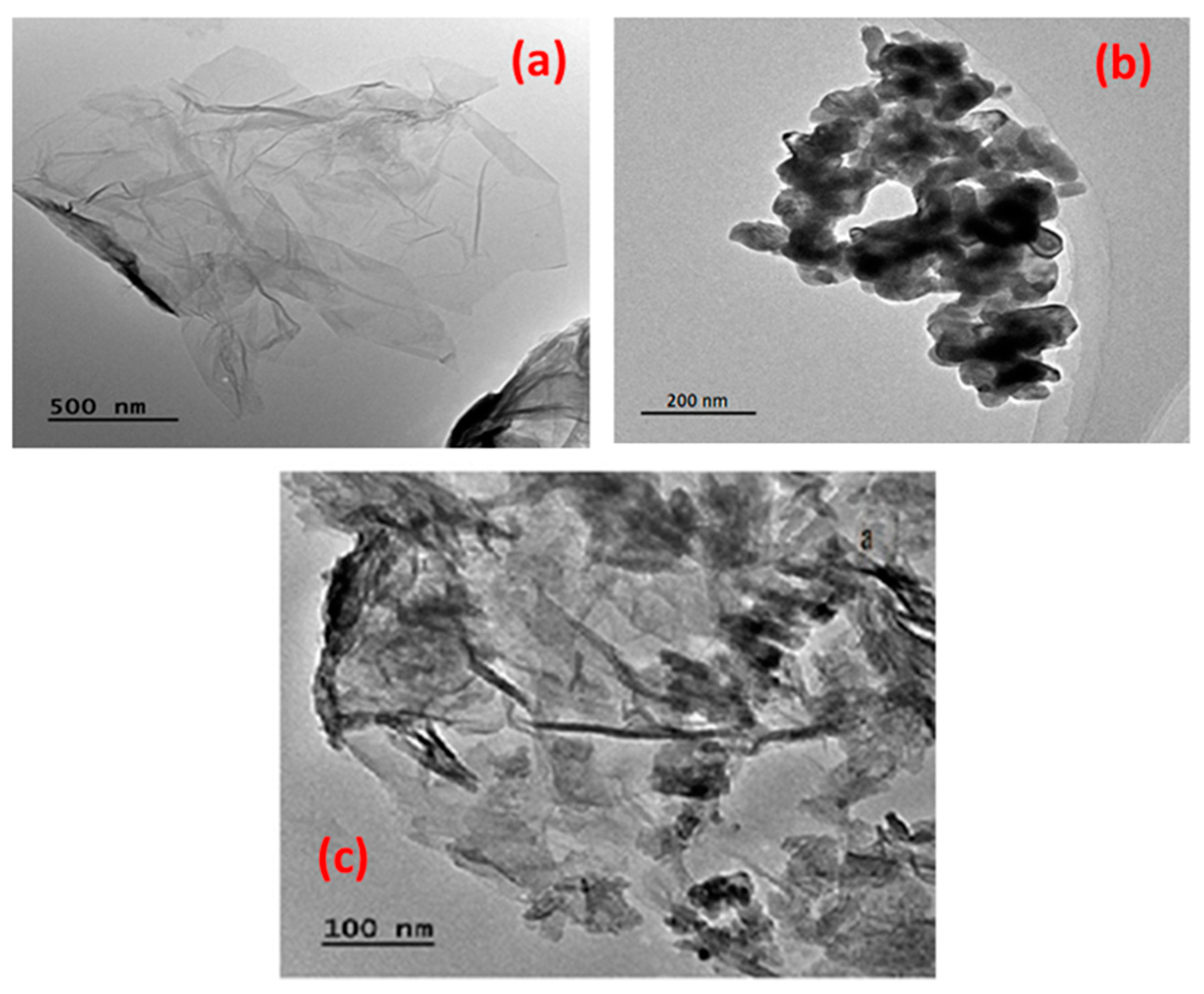 Catalysts 14 00096 g003 Catalysts 14 00096 g003